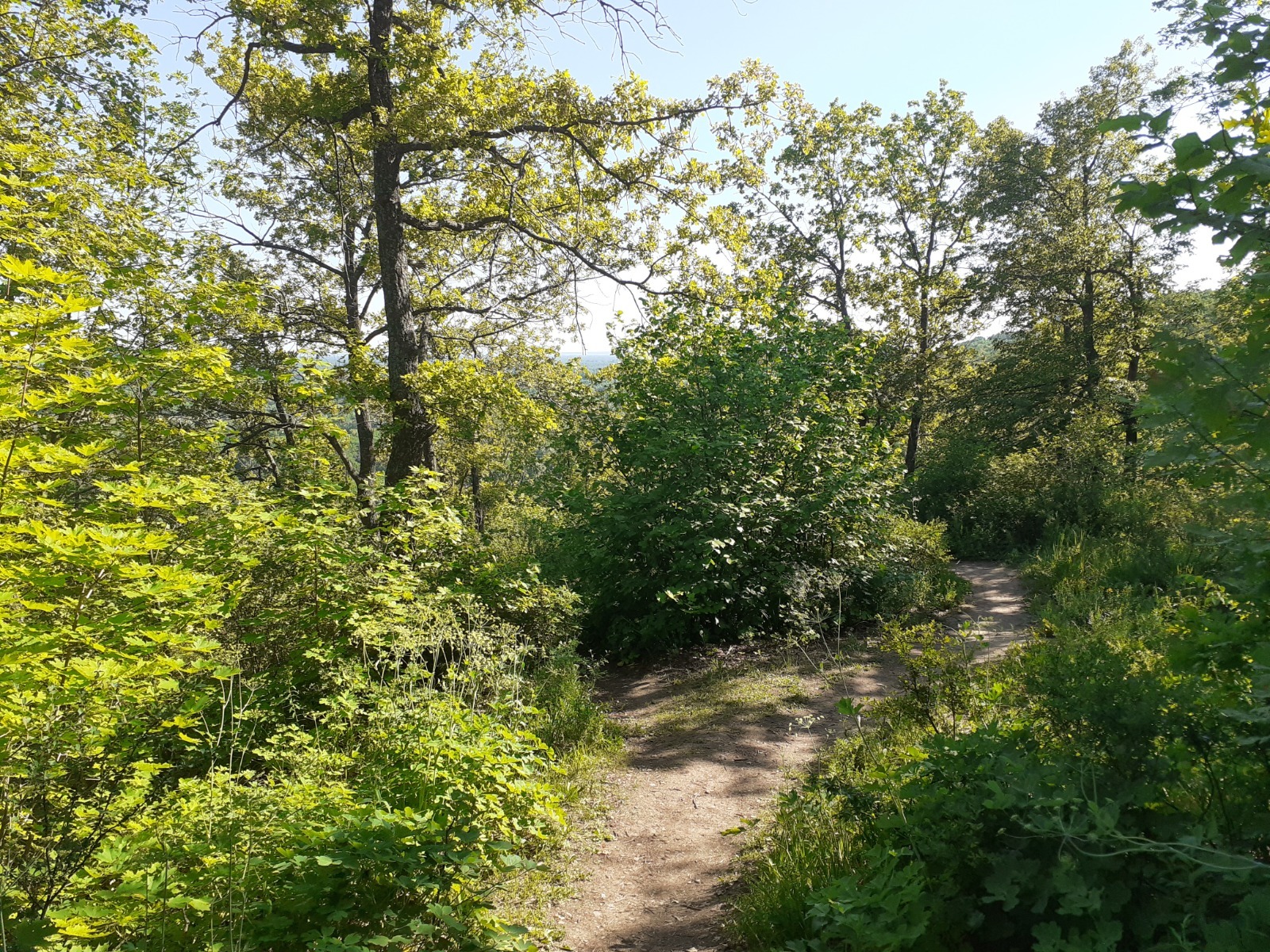 Владимира Шакиева.