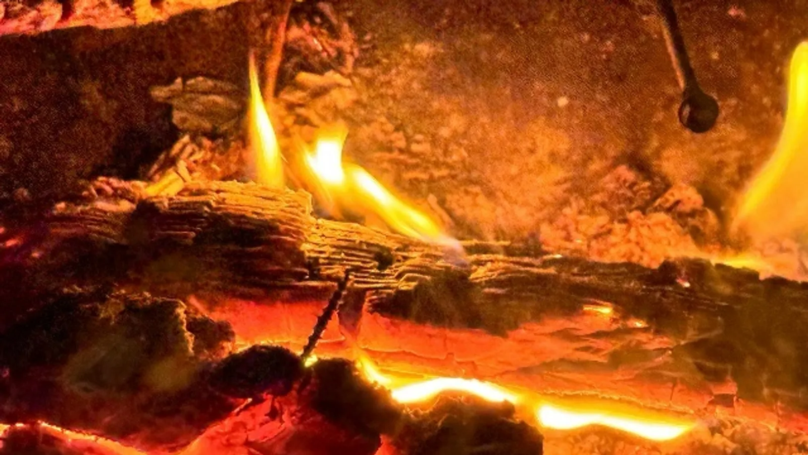 Елены Колоколовой. «Общественная электронная газета».