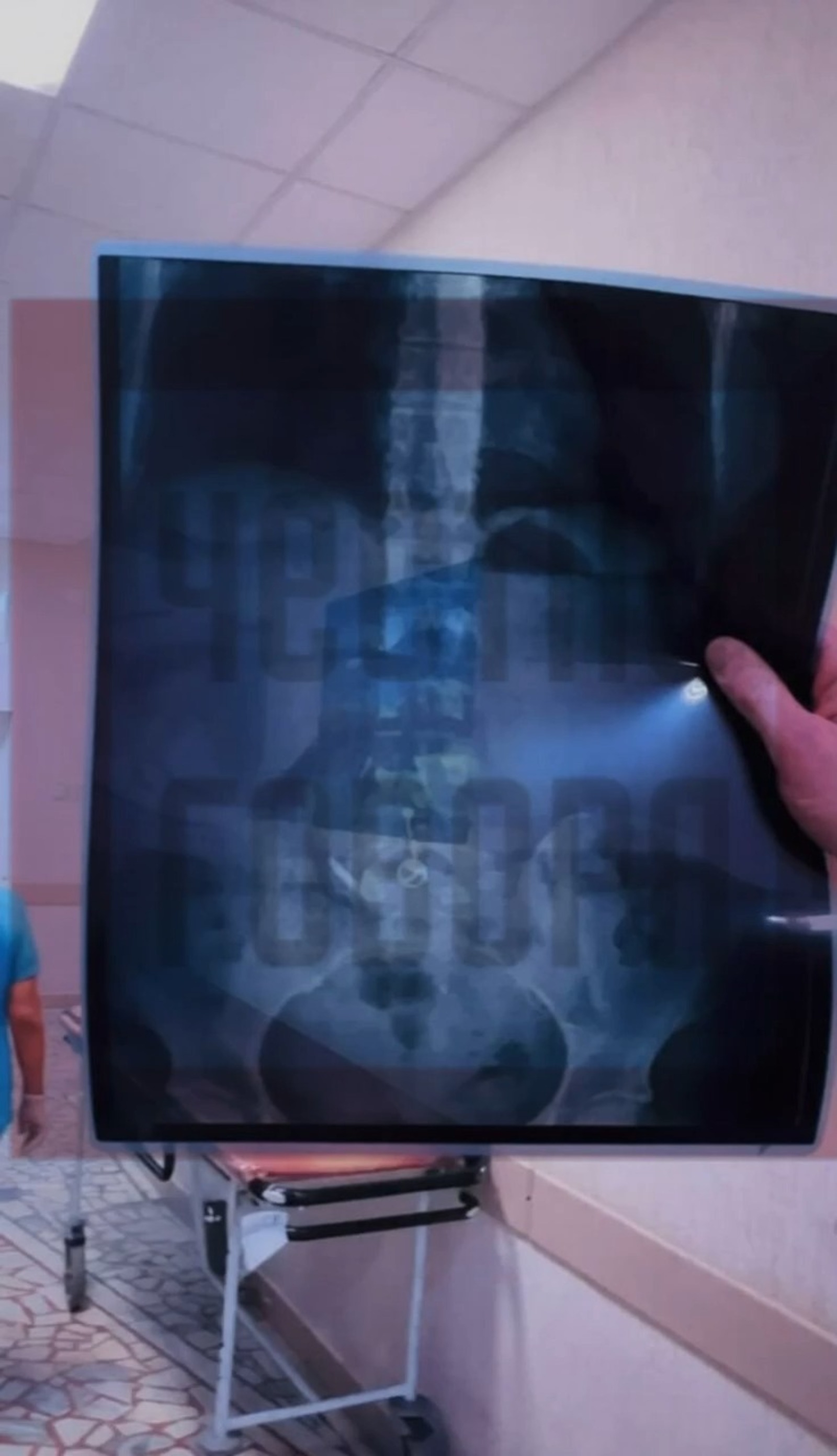 скриншот. телеграм-канал «Честно говоря».