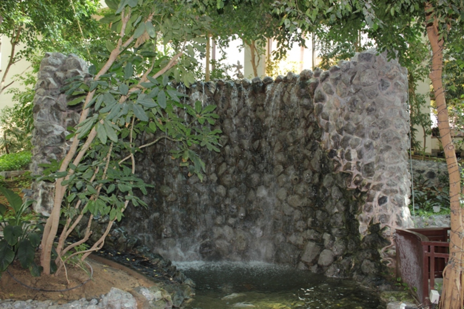 Фото автора.