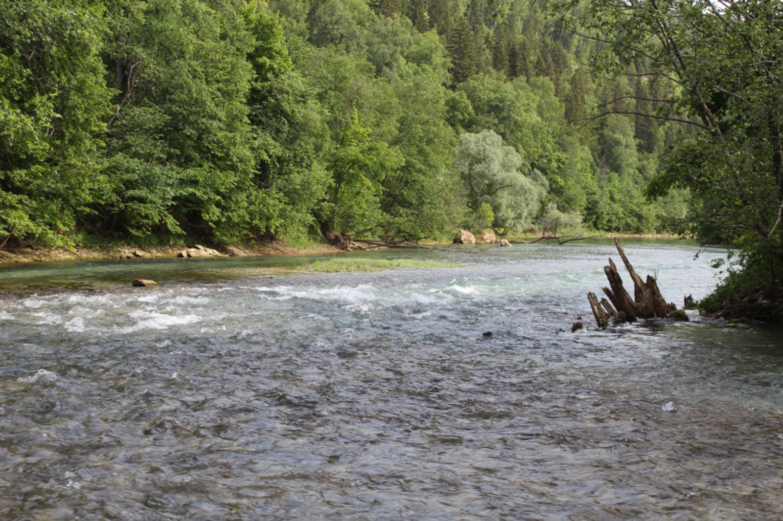 Фото автора.