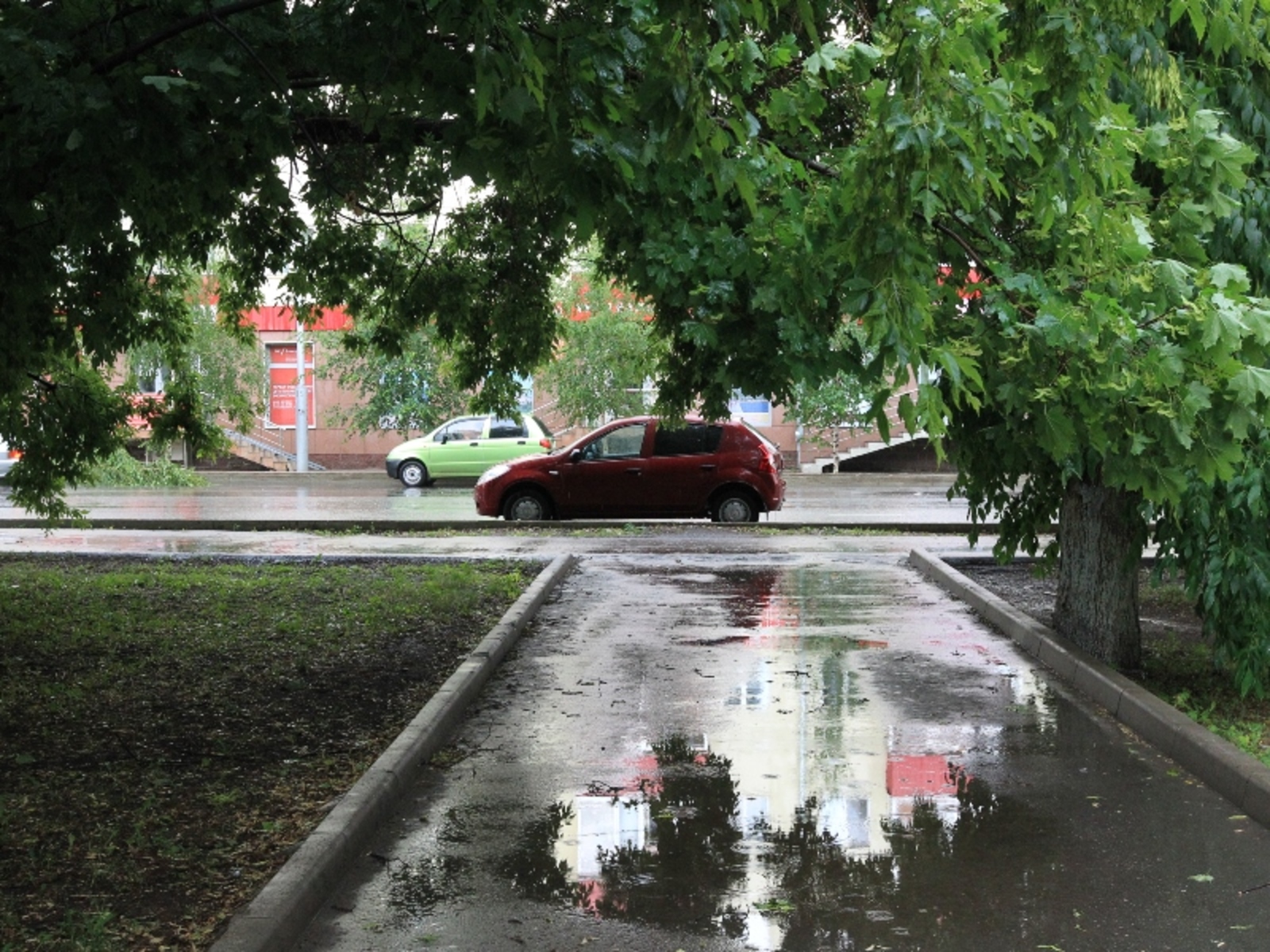 Фото Олега Яровикова.