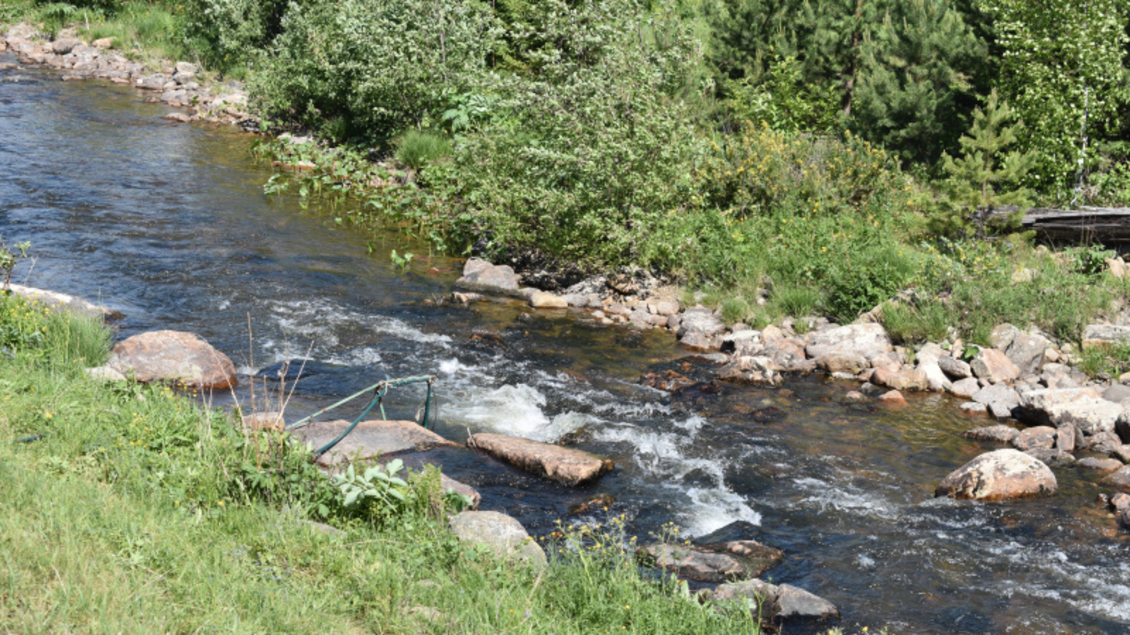 Фото автора.