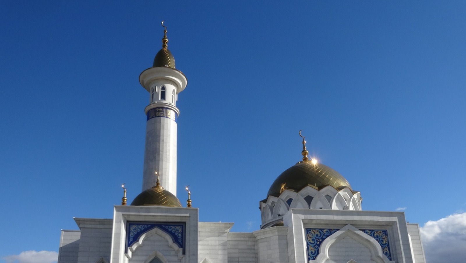 Елены Колоколовой.  «Общественная электронная газета».