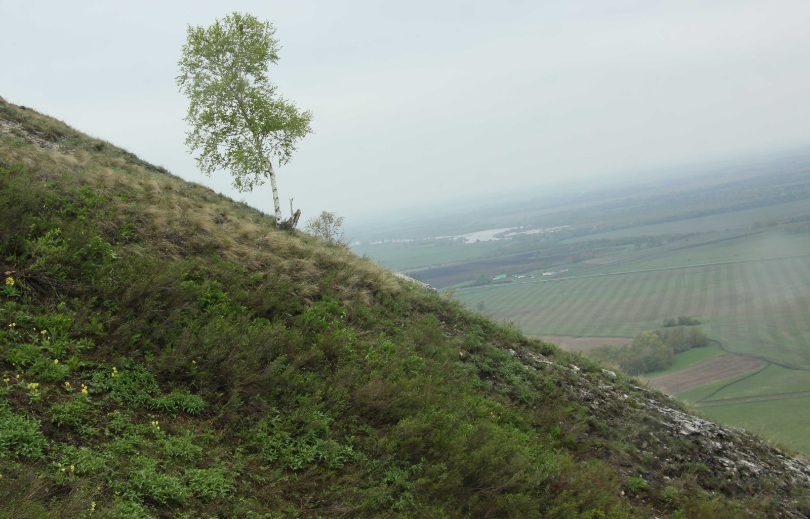 Евгении Сюткиной. «Общественная электронная газета».
