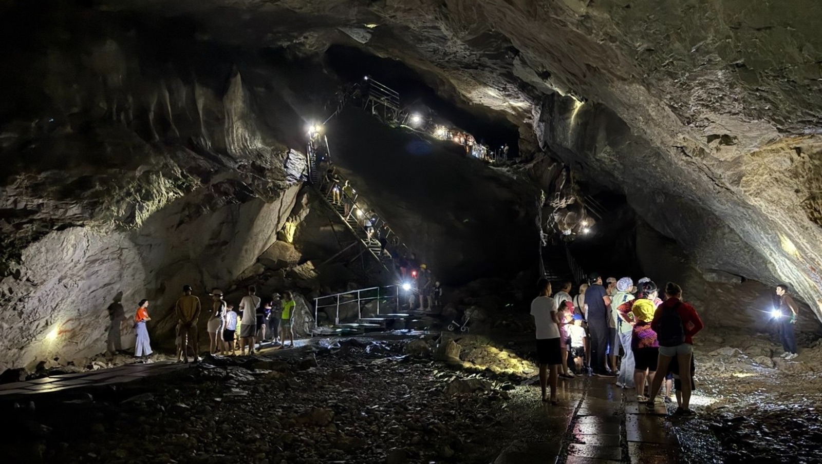 Елены Колоколовой.