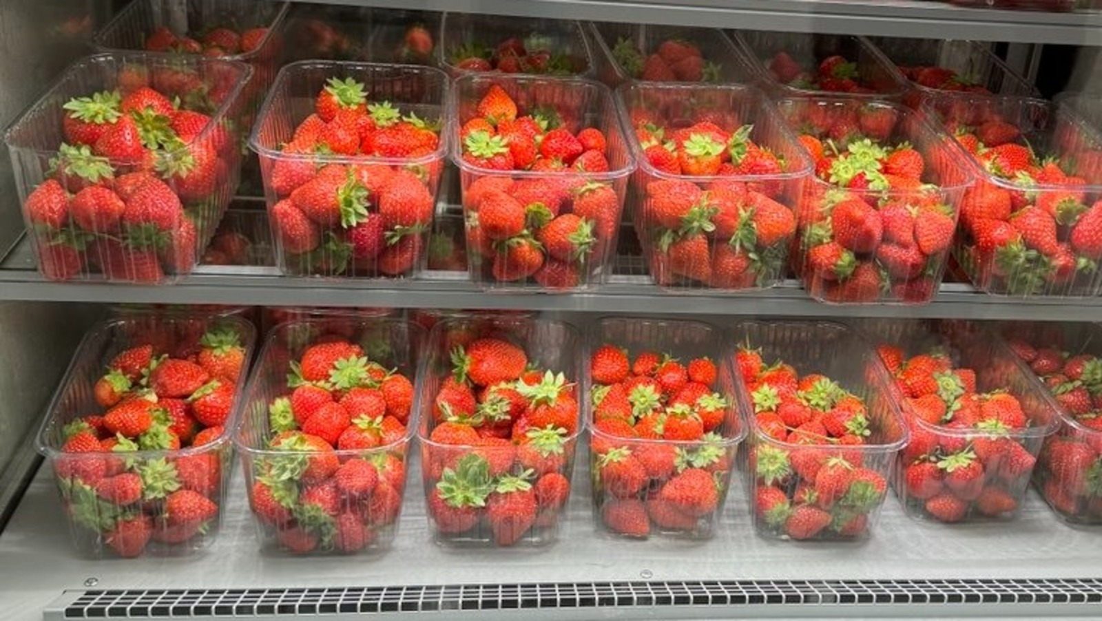 Елены Колоколовой.