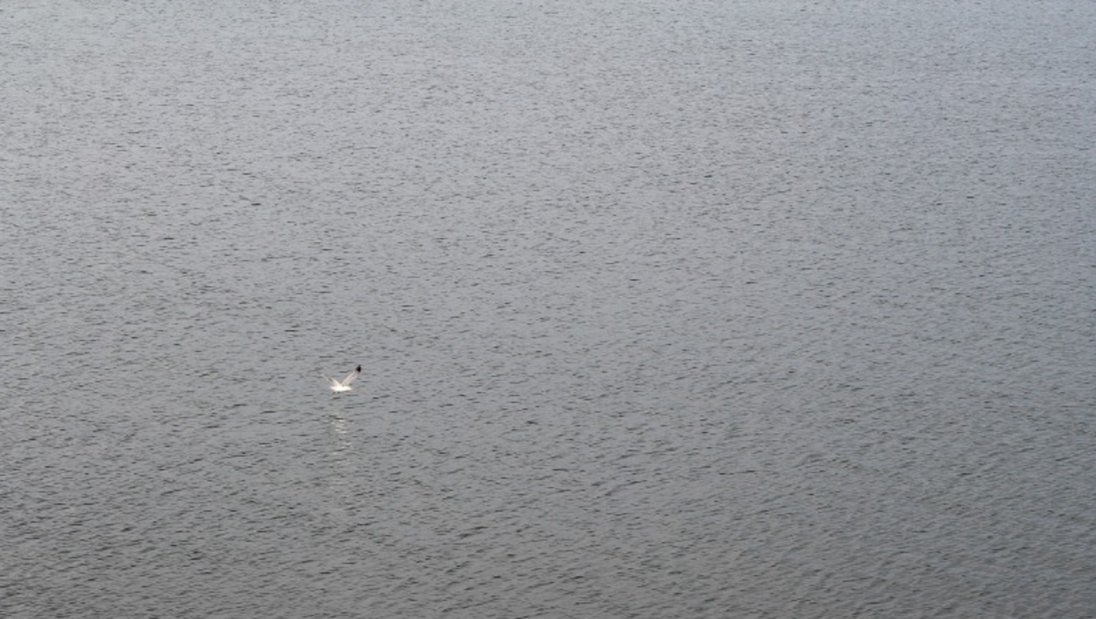 Дарьи Святохиной.