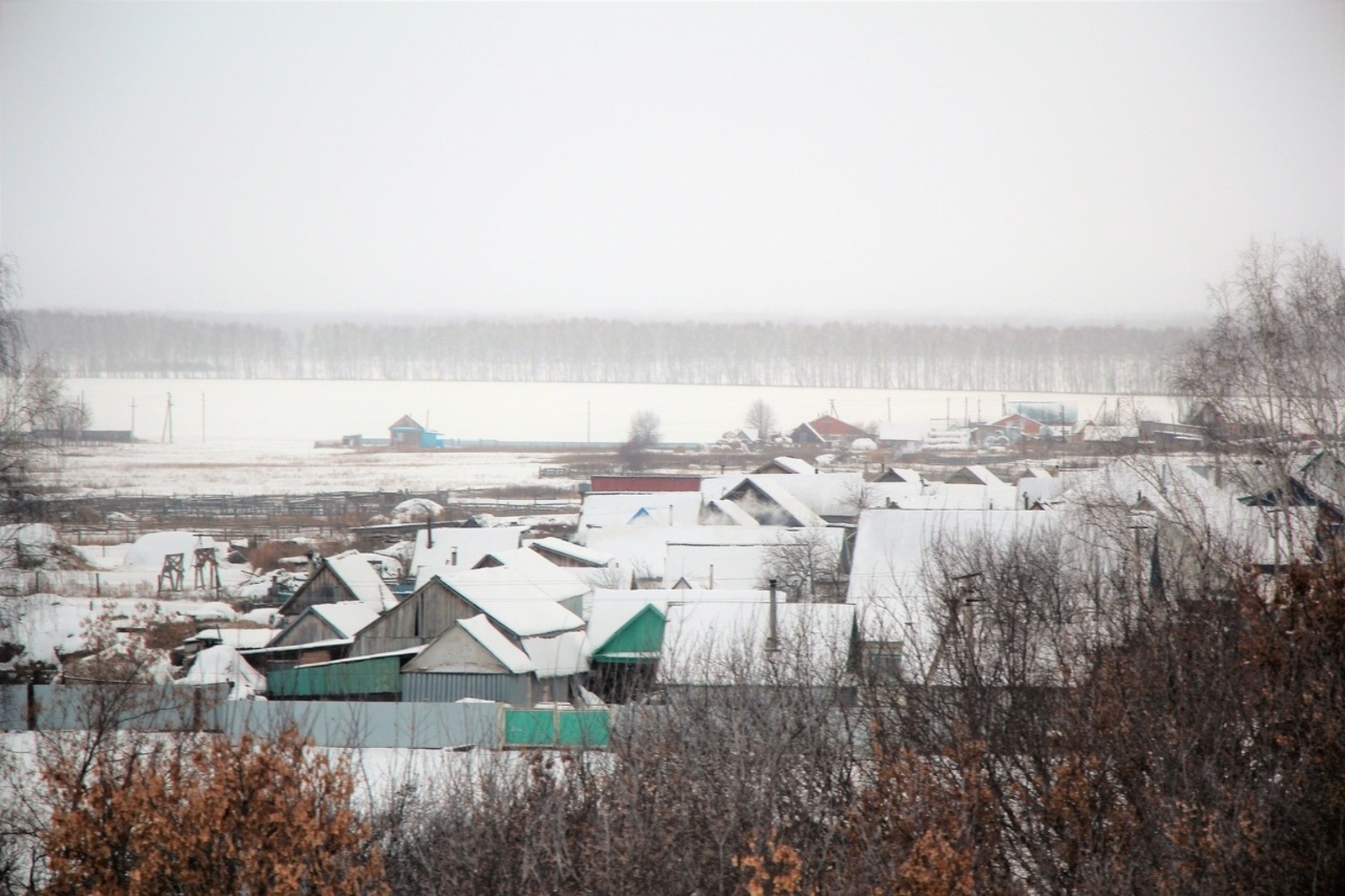 Евгении Сюткиной.