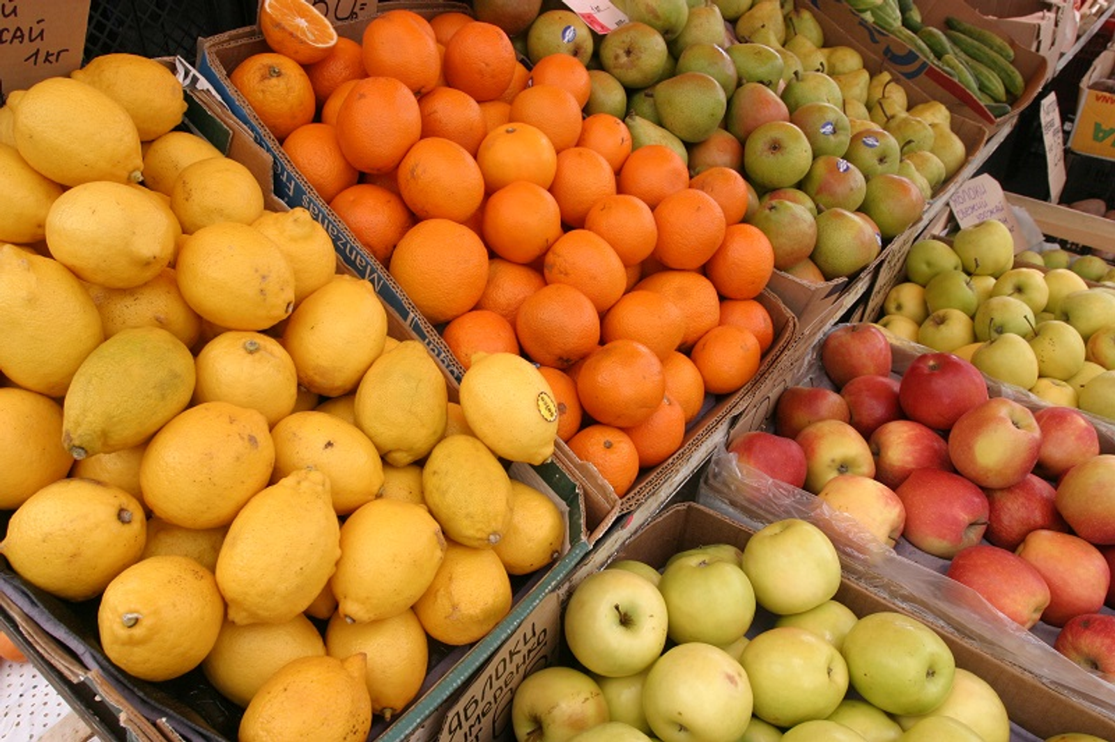 Фото Андрея Старостина.