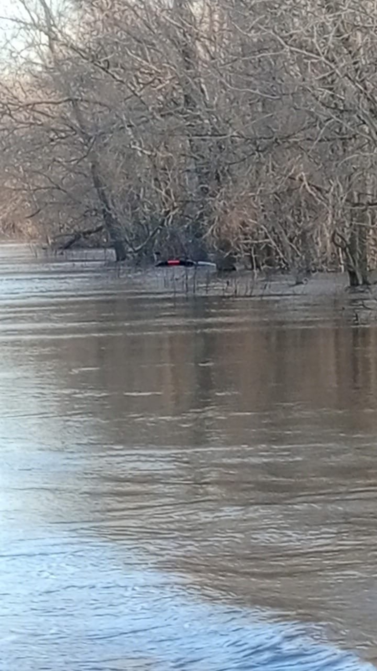 Госкомитет РБ по ЧС.