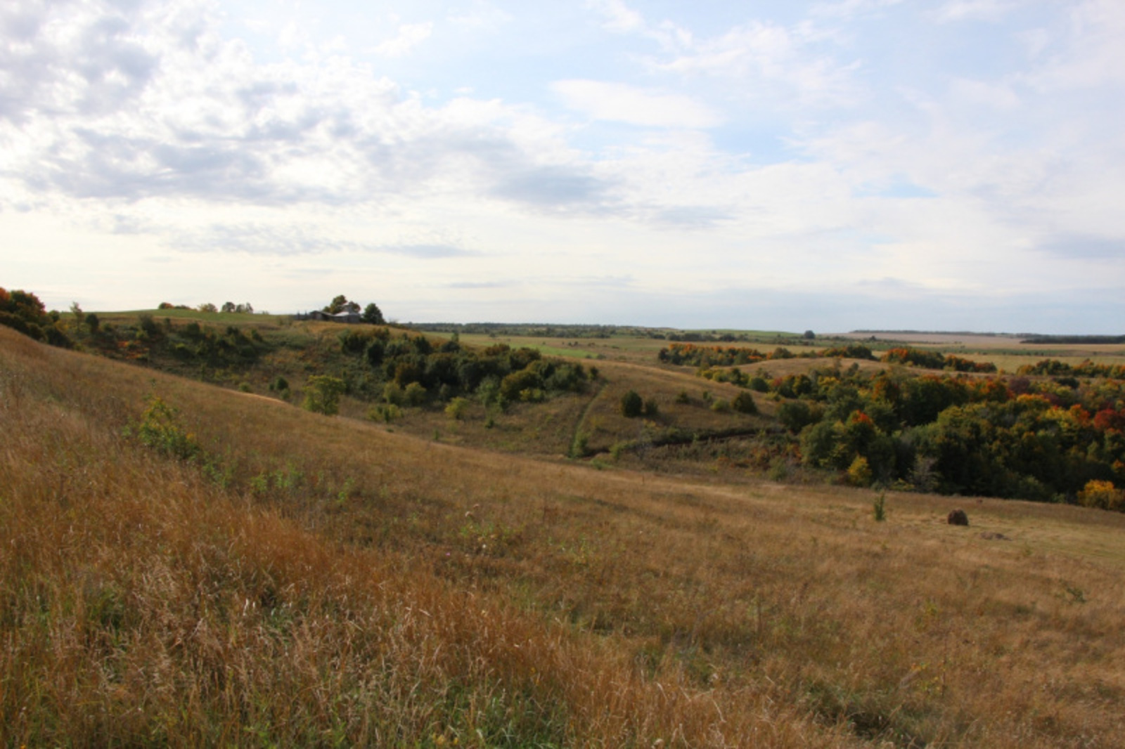 Фото Евгении Сюткиной.
