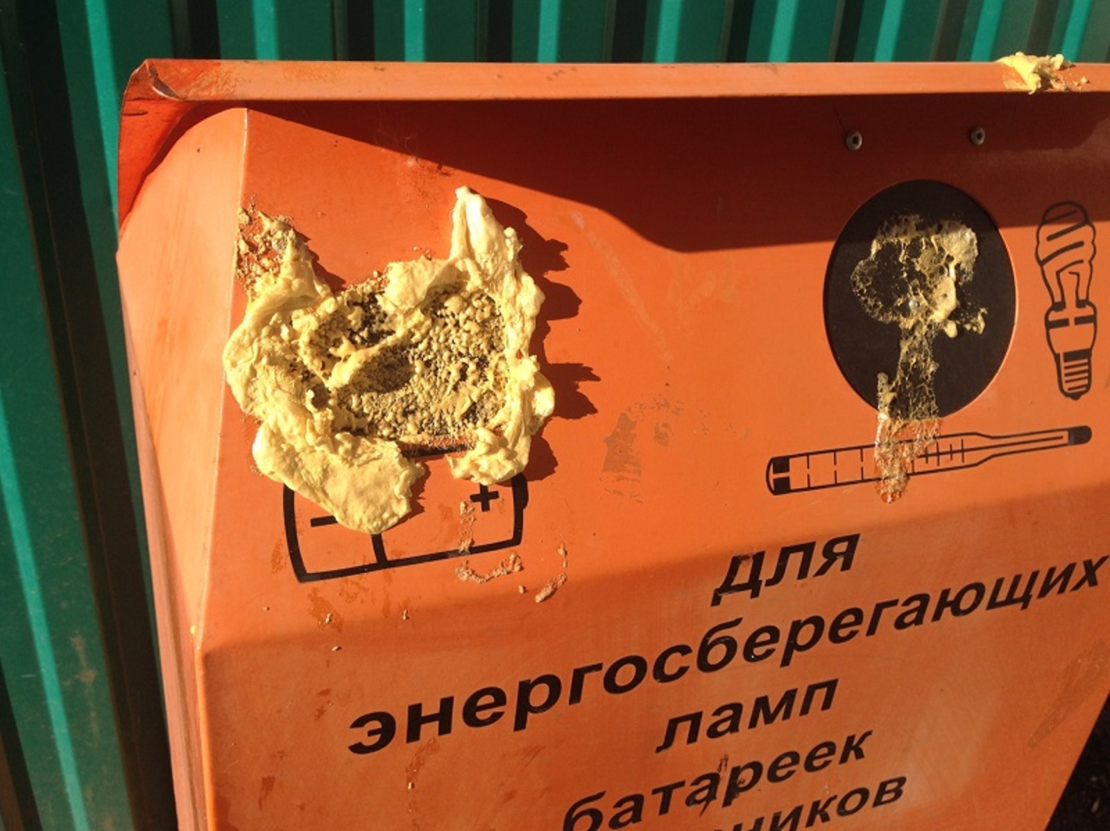 Фото автора.