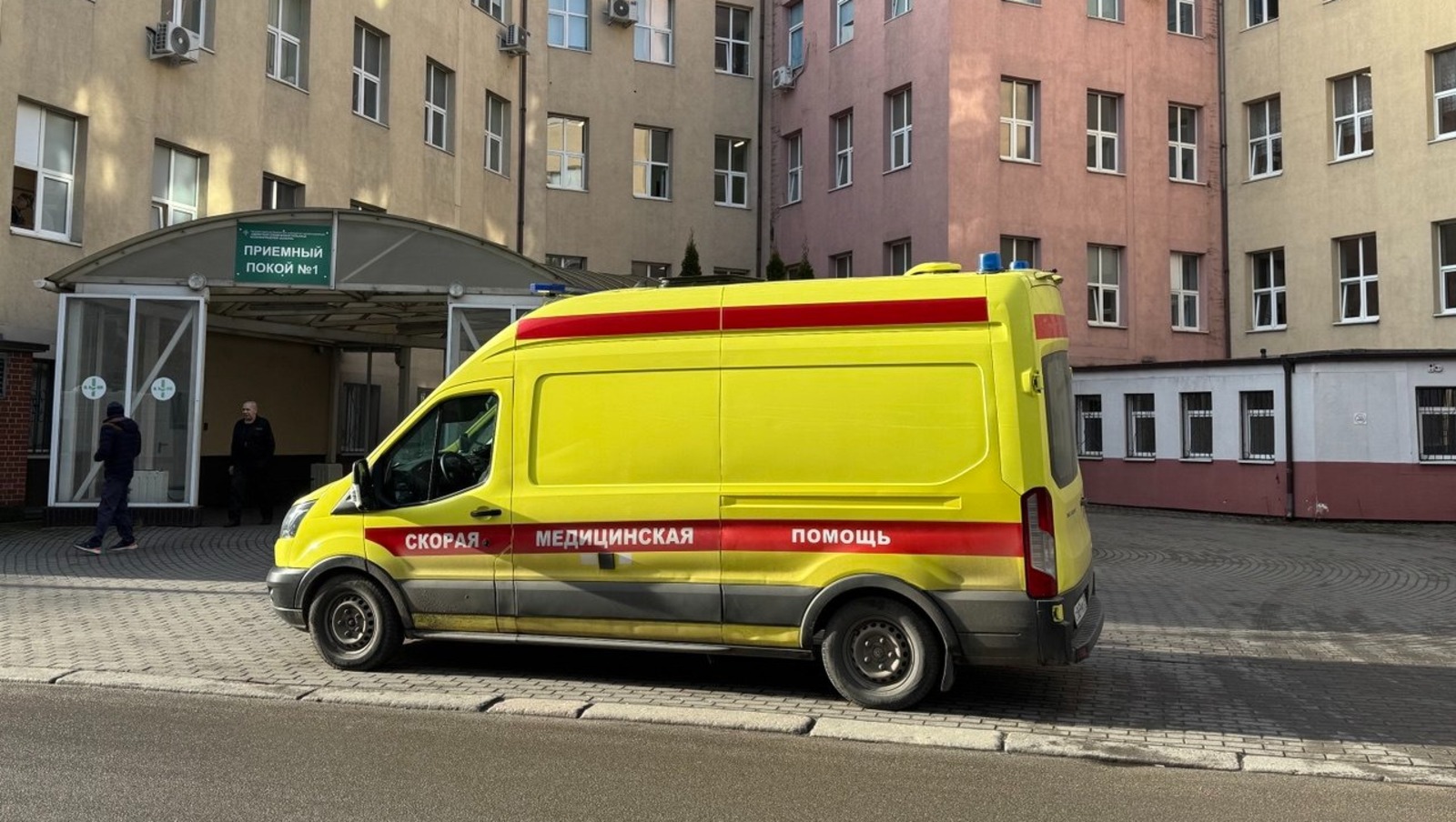 Елены Колоколовой.