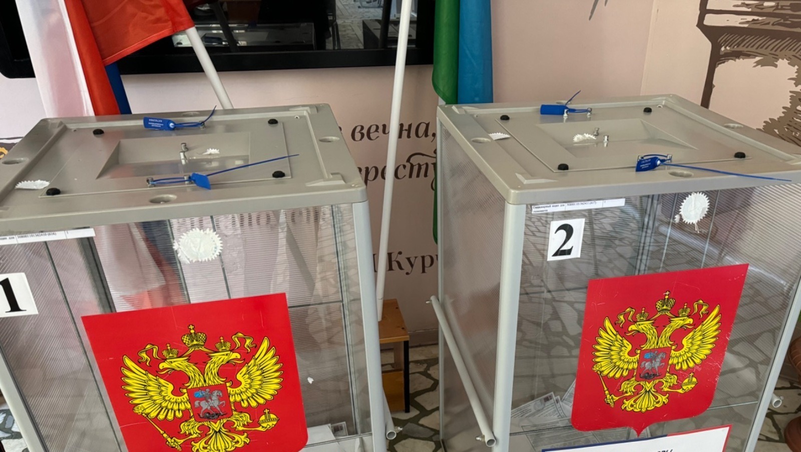 Елены Колоколовой.