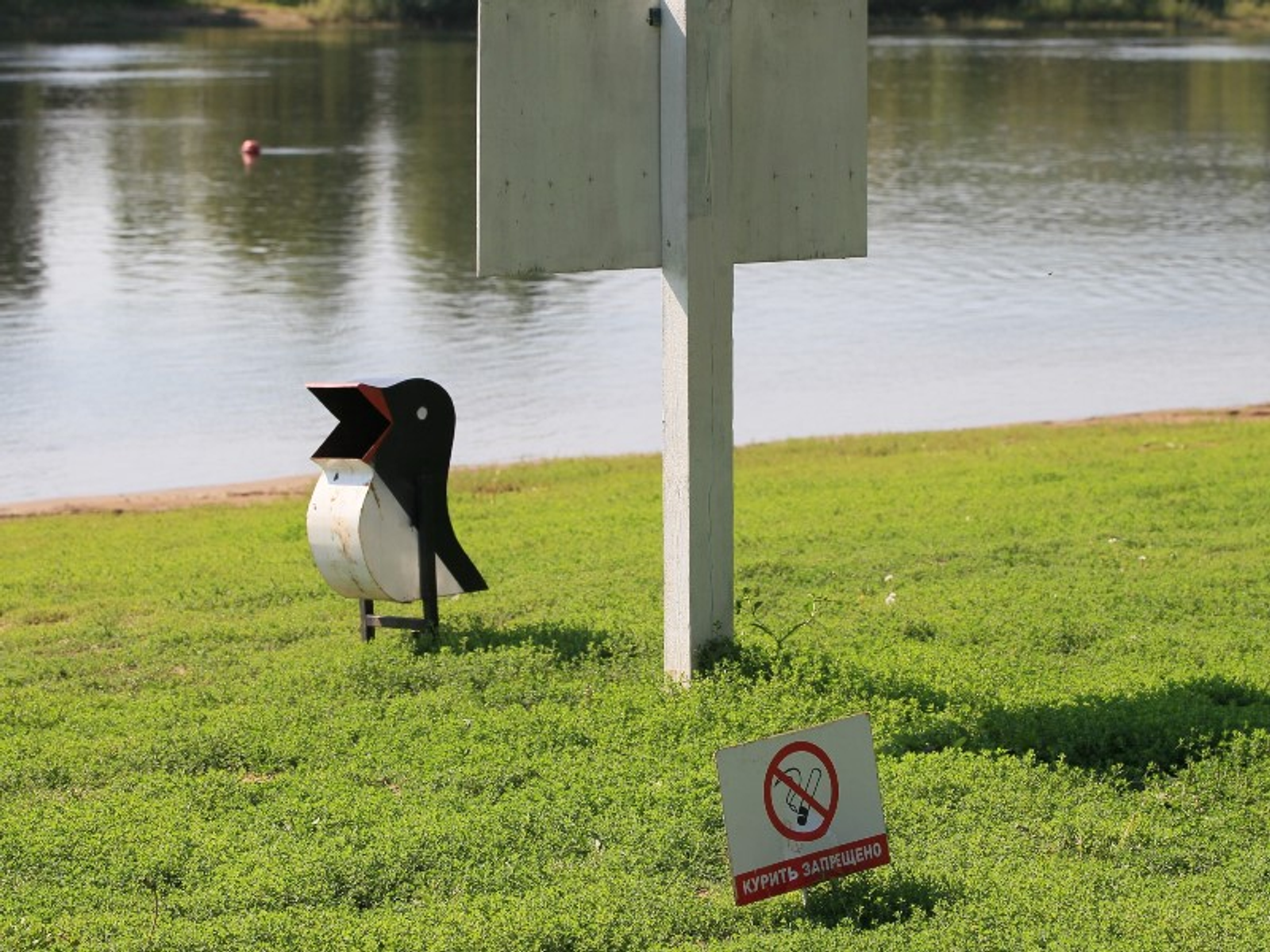 Фото Олега Яровикова.