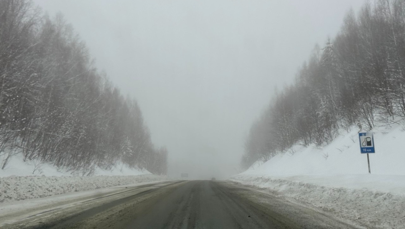 Елены Колоколовой. «Общественная электронная газета».