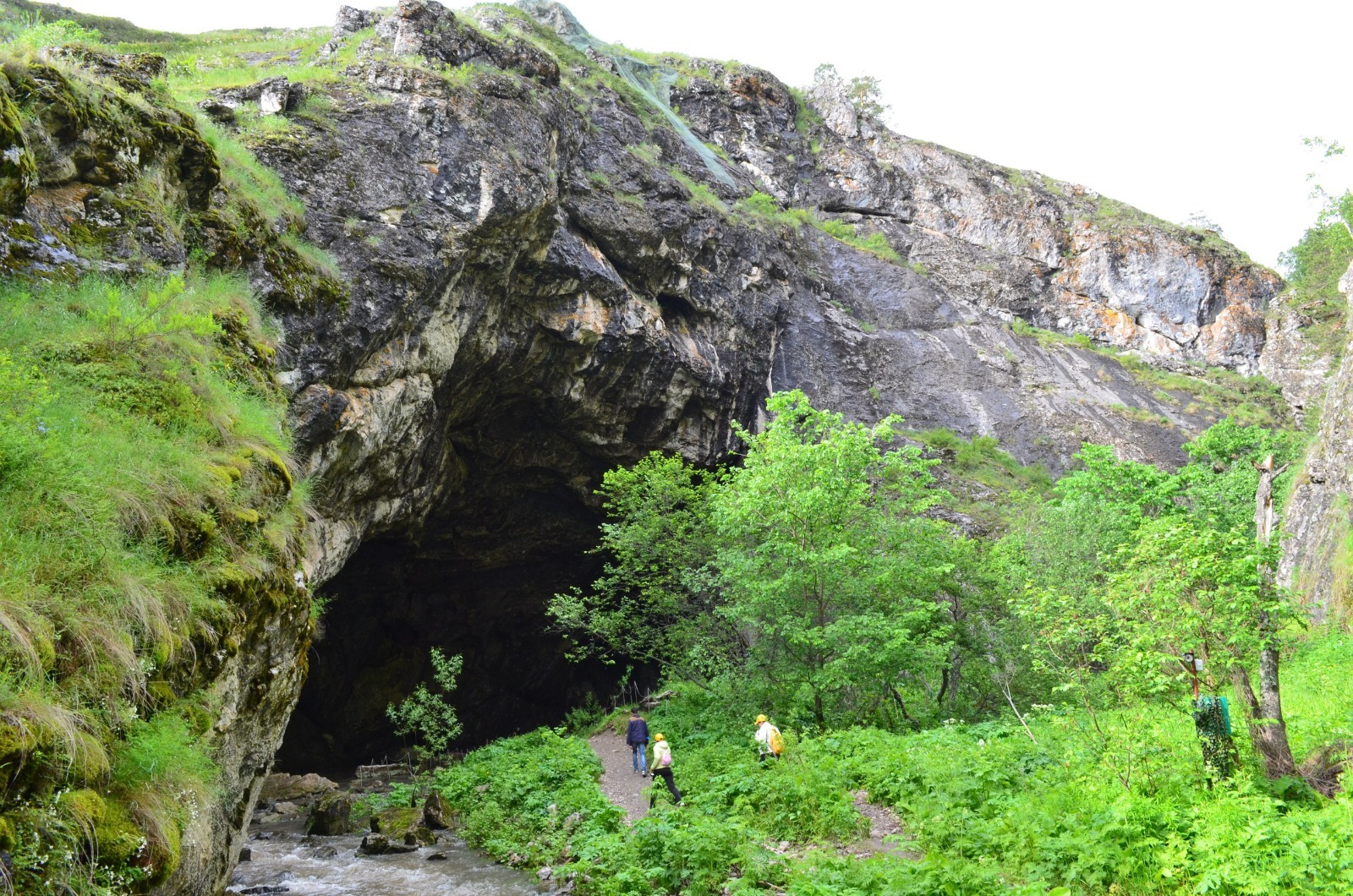 Владимира Шакиева.