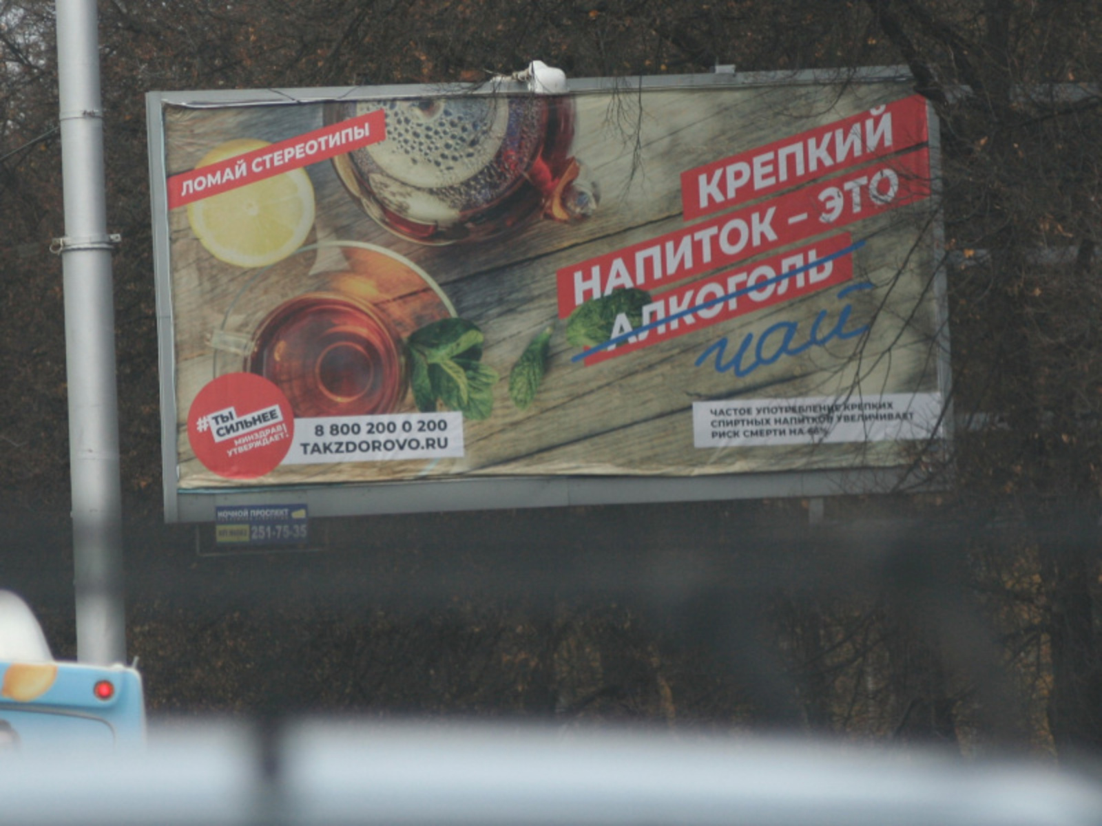 Фото автора.