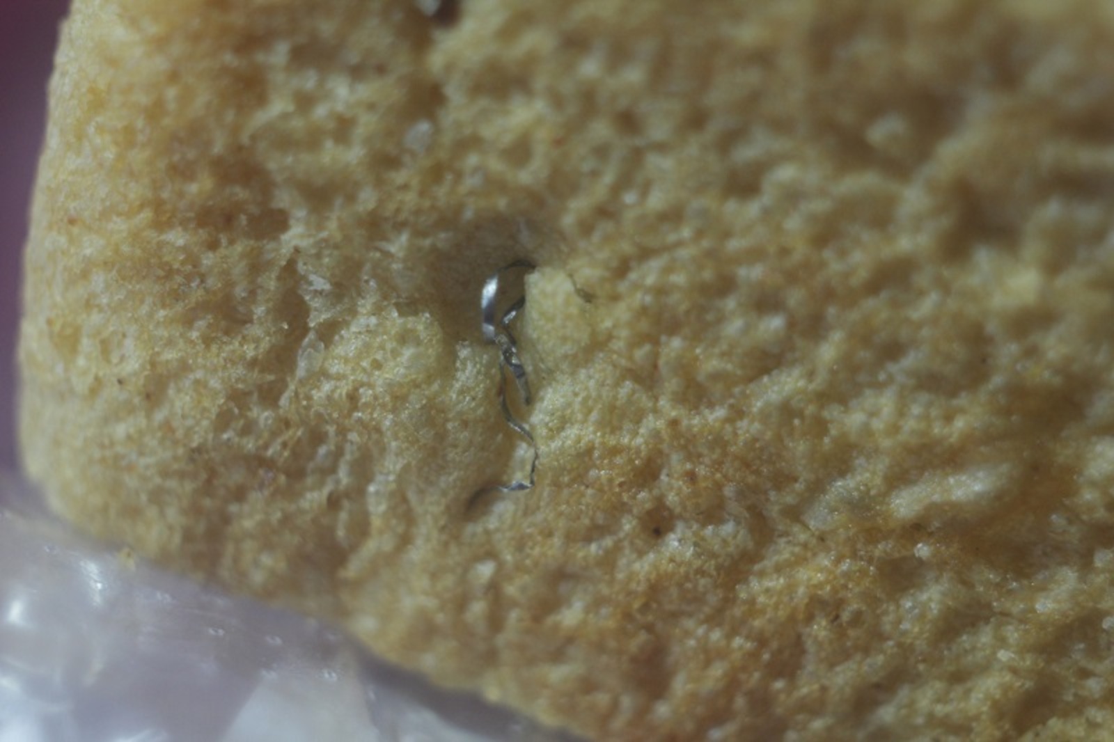 Фото предоставлено Алексеем Посоховым.