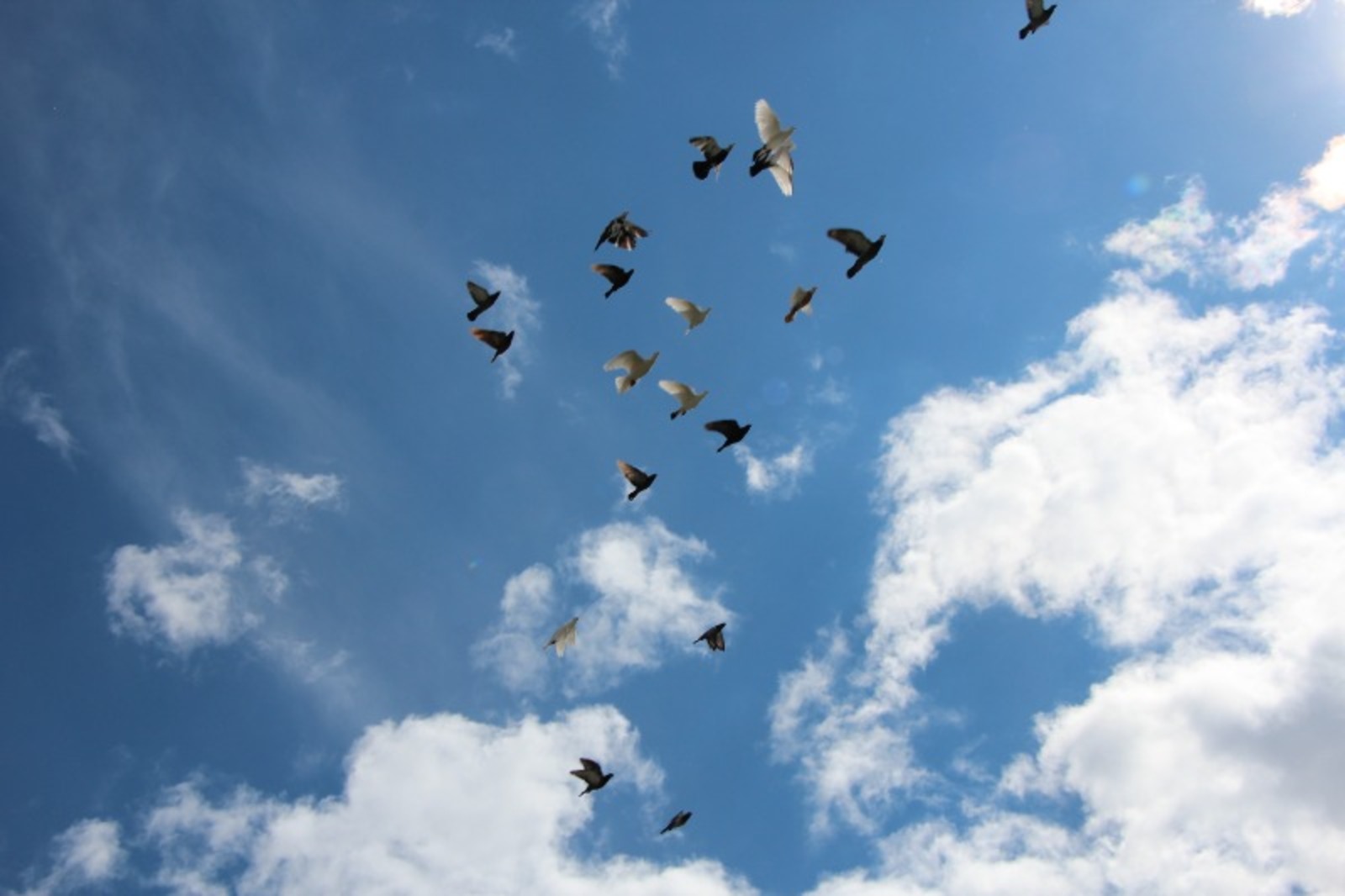 Евгении Сюткиной.