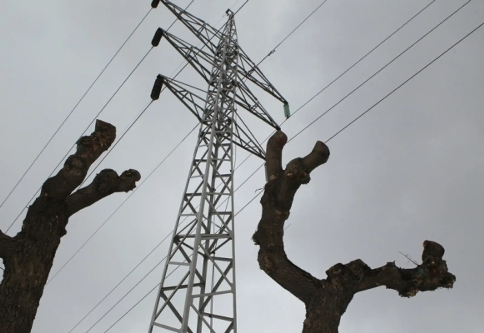 Фото Андрея Старостина.