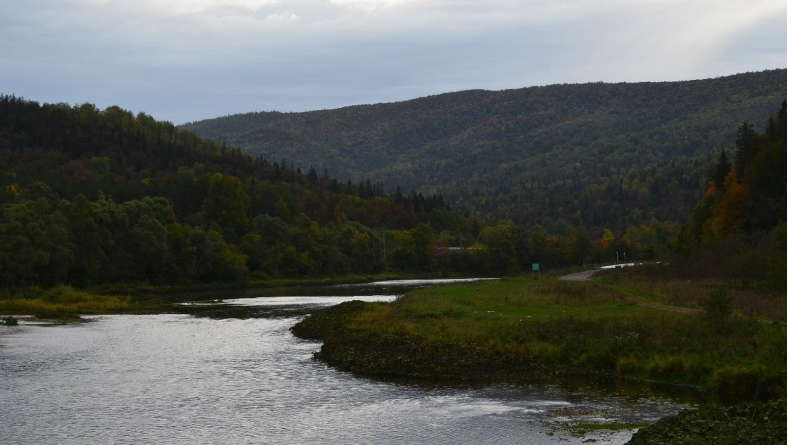 Владимира Шакиева.