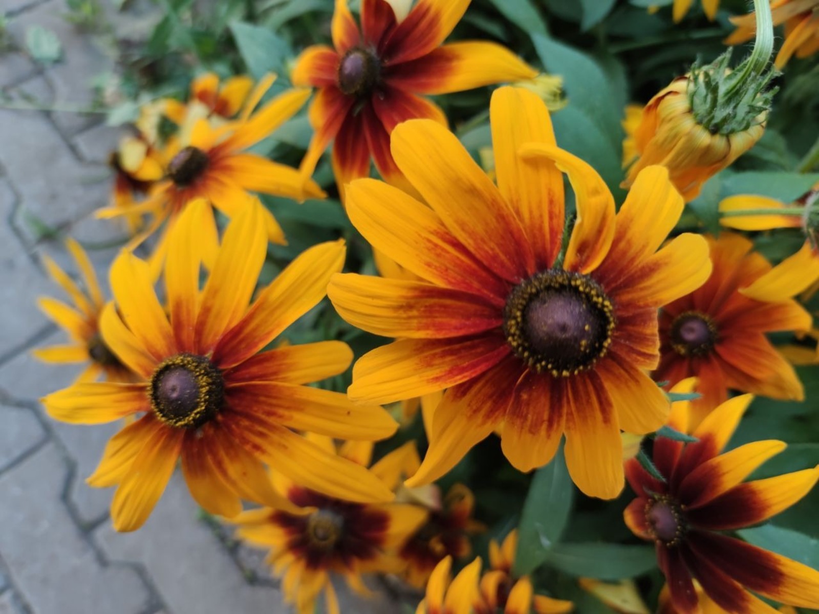 Дарьи Святохиной.