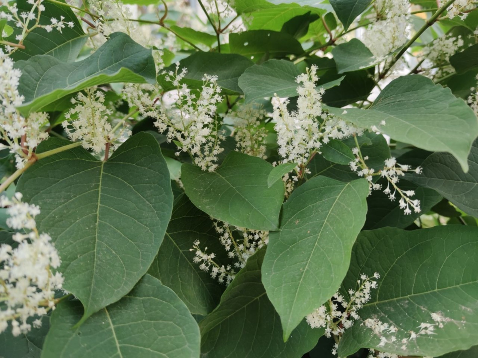 Дарьи Святохиной.