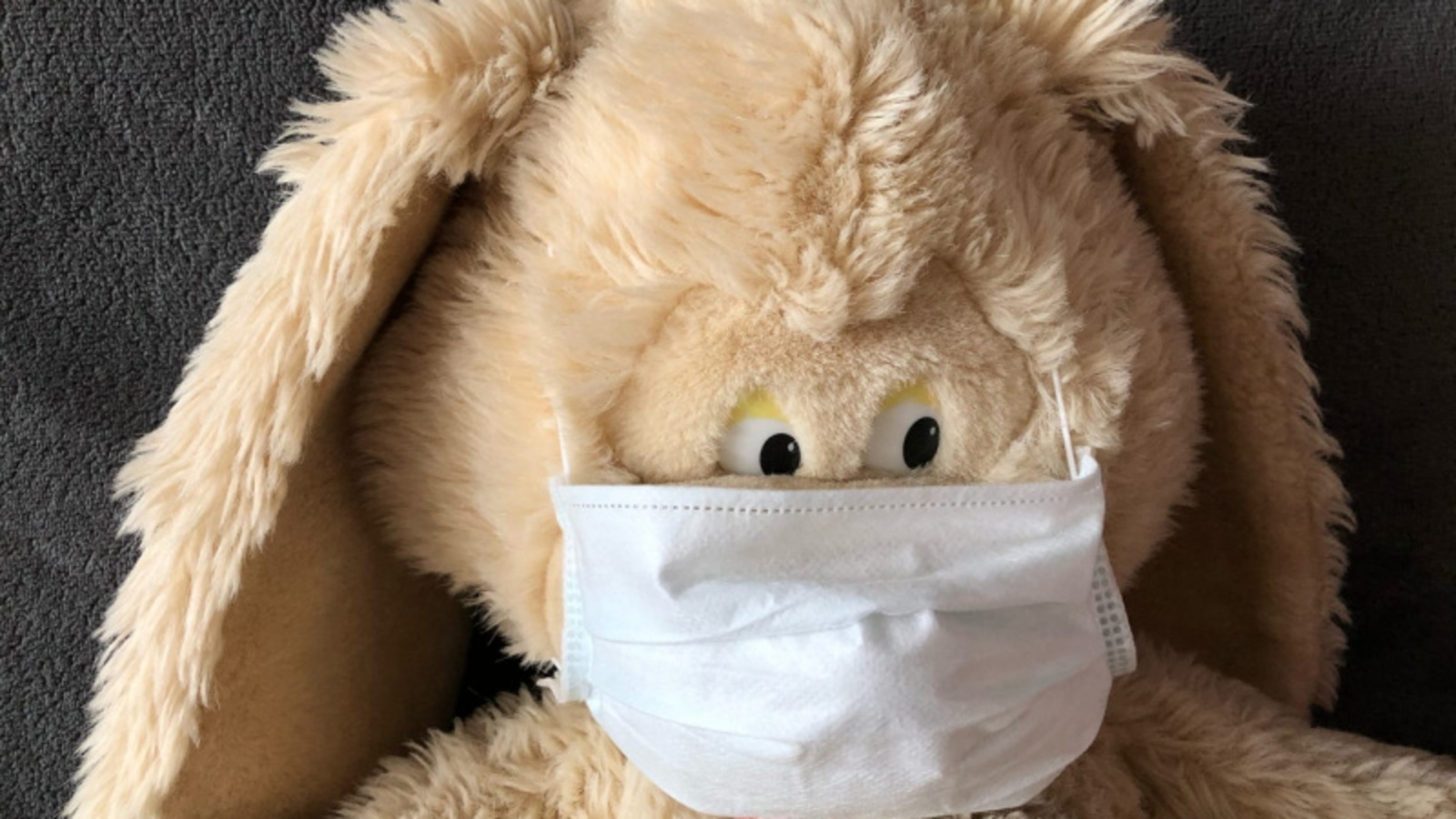 Фото Елены Колоколовой.