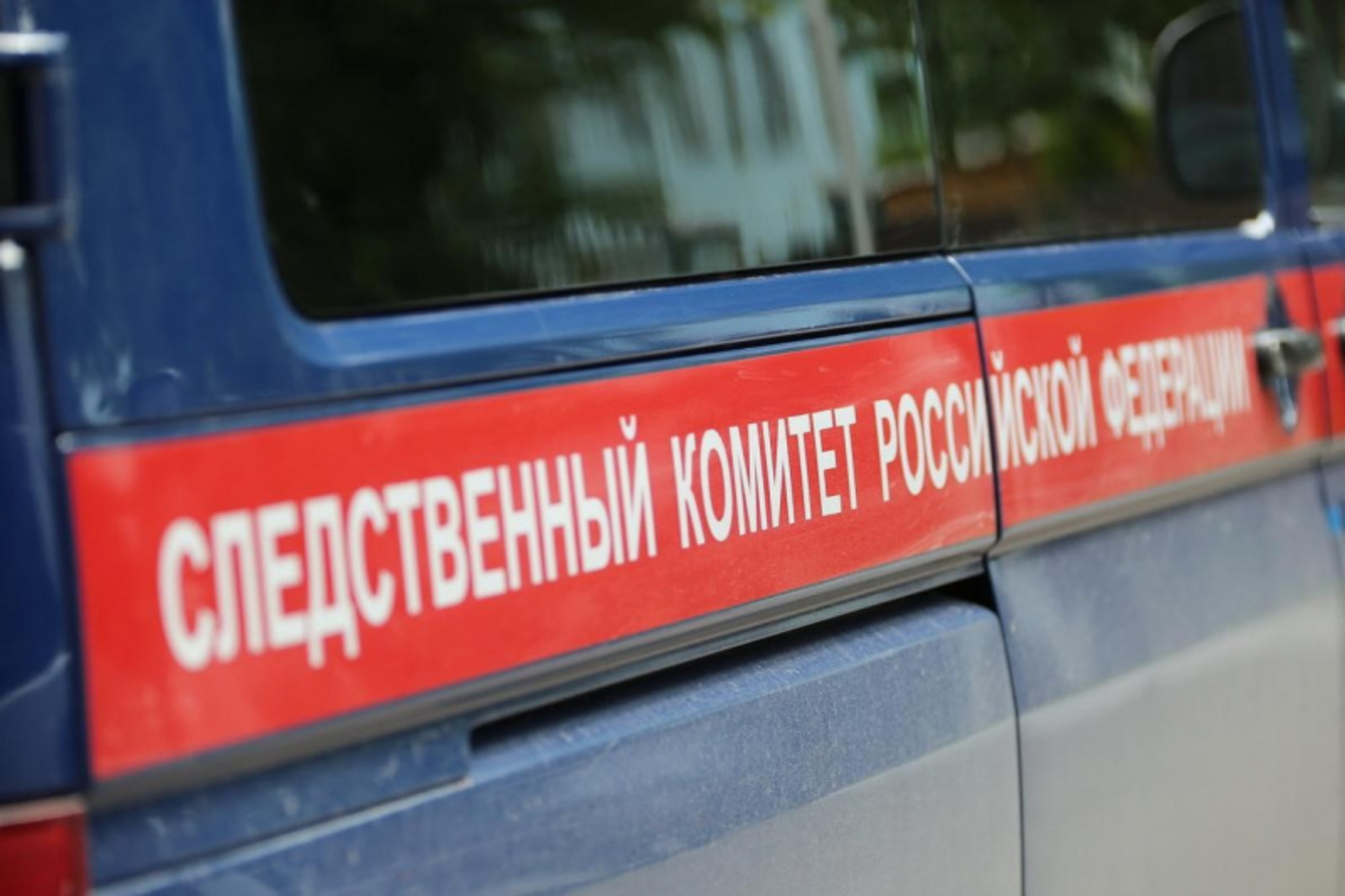 Фото Андрея Старостина.