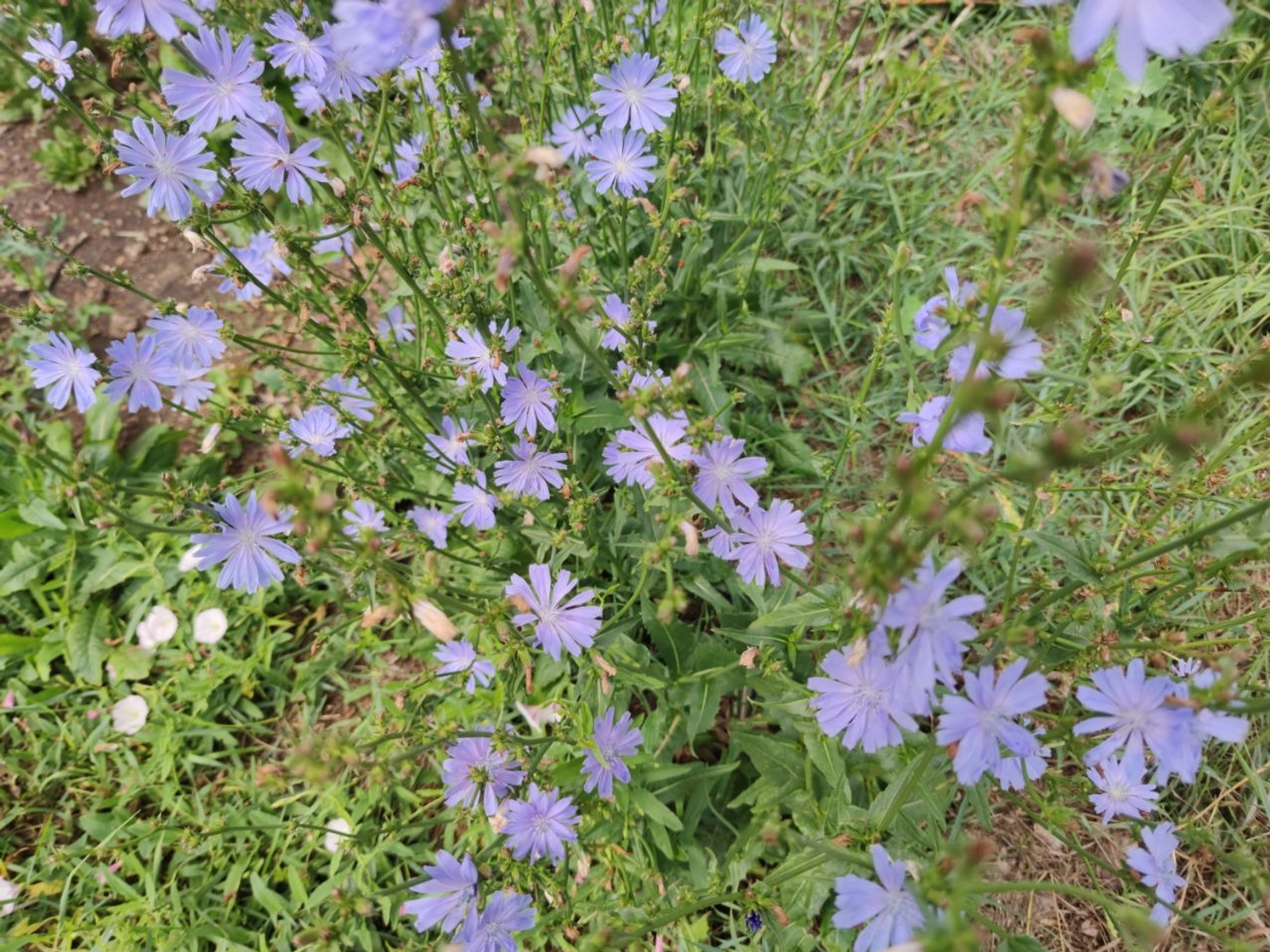 Дарьи Святохиной.