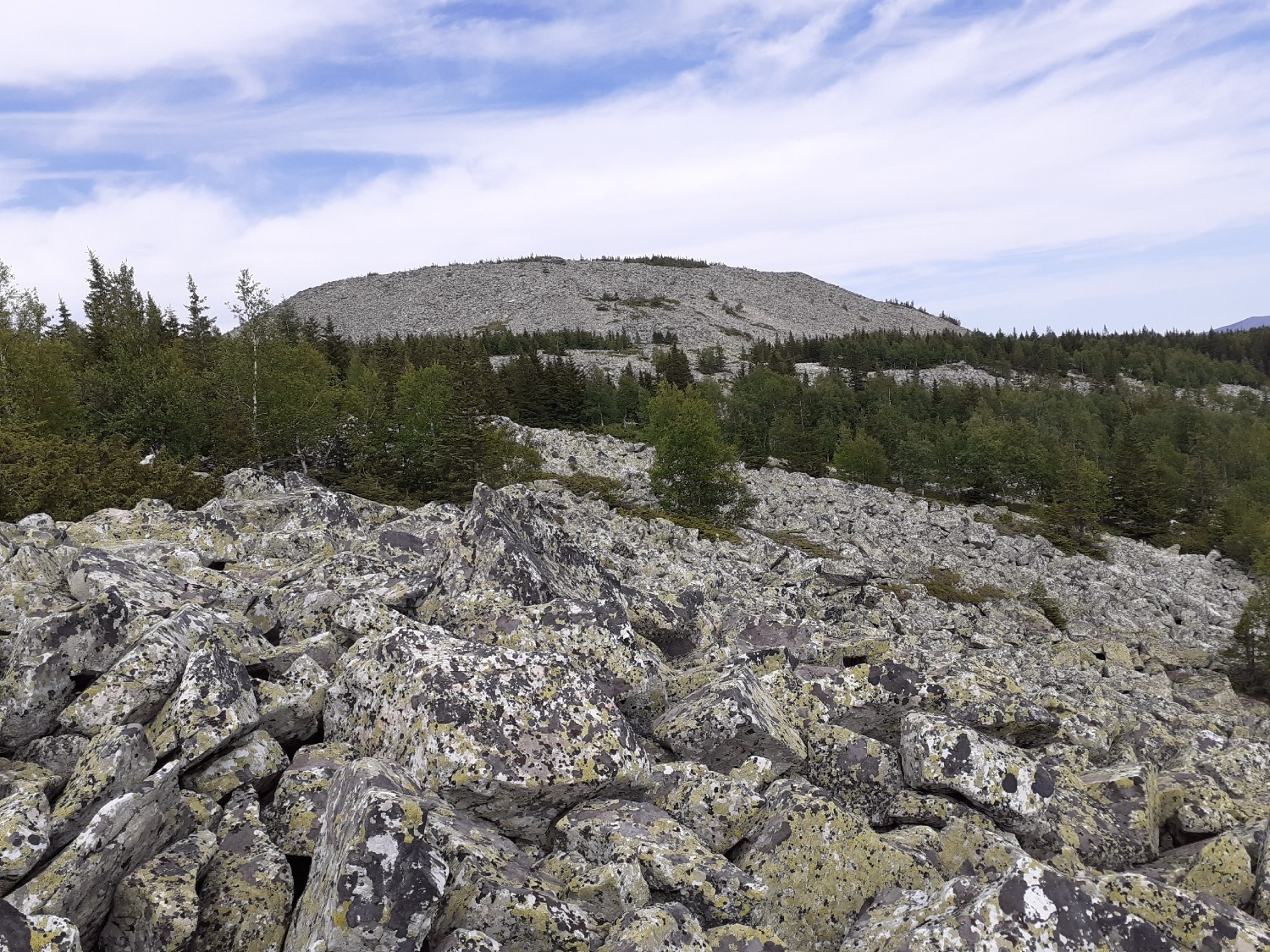 Владимира Шакиева.