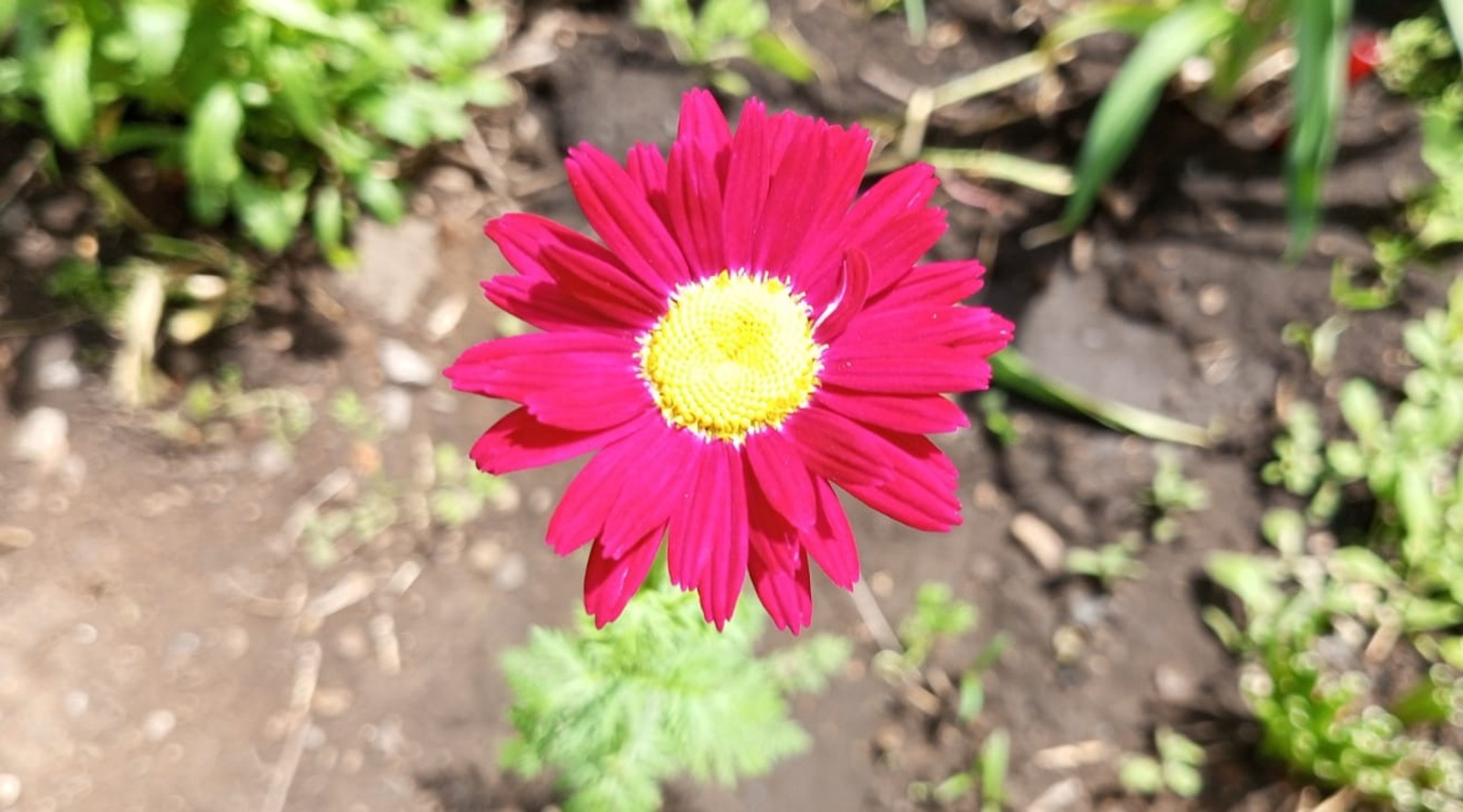 Евгении Сюткиной.