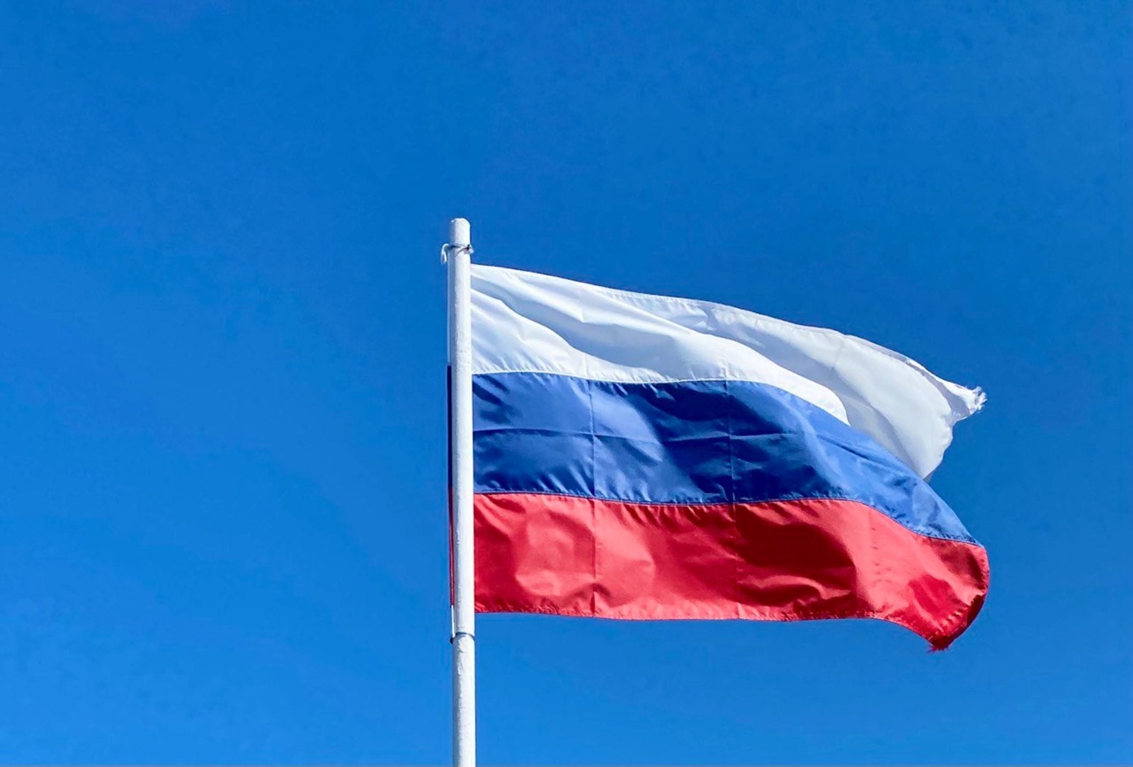 Елены Колоколовой.