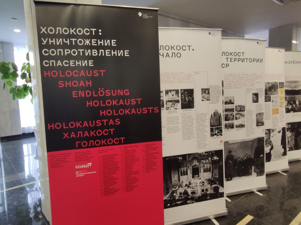 Дарьи Святохиной. «Общественная электронная газета».