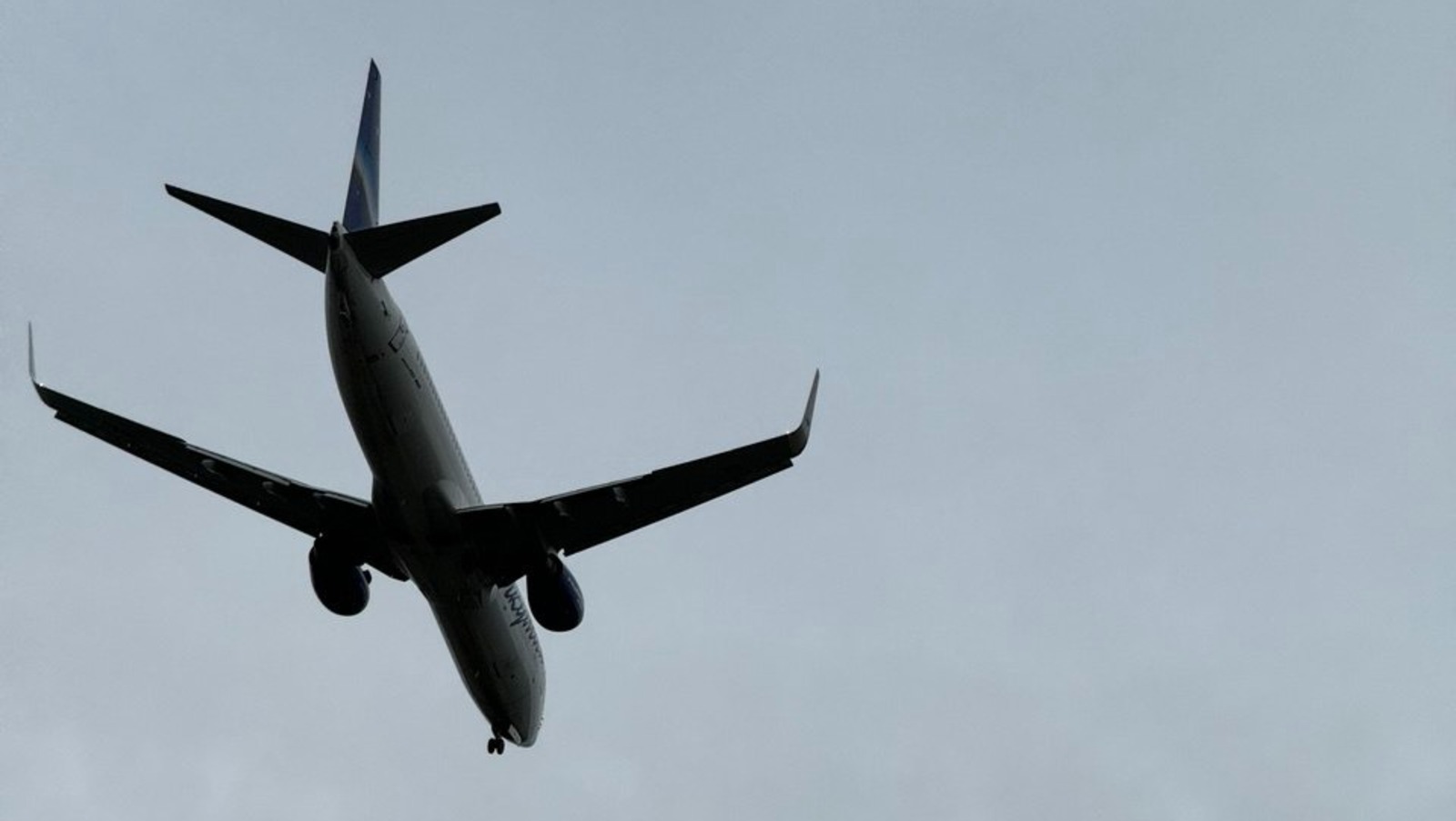 Елены Колоколовой.