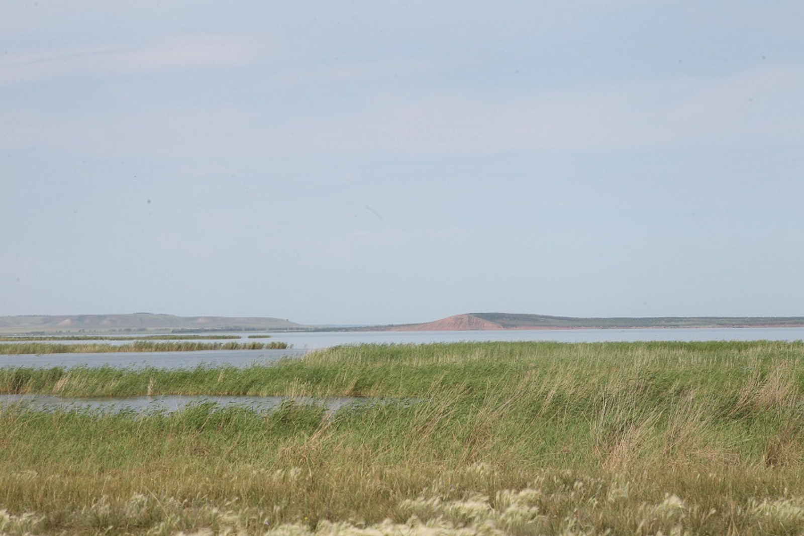 Фото Олега Яровикова.