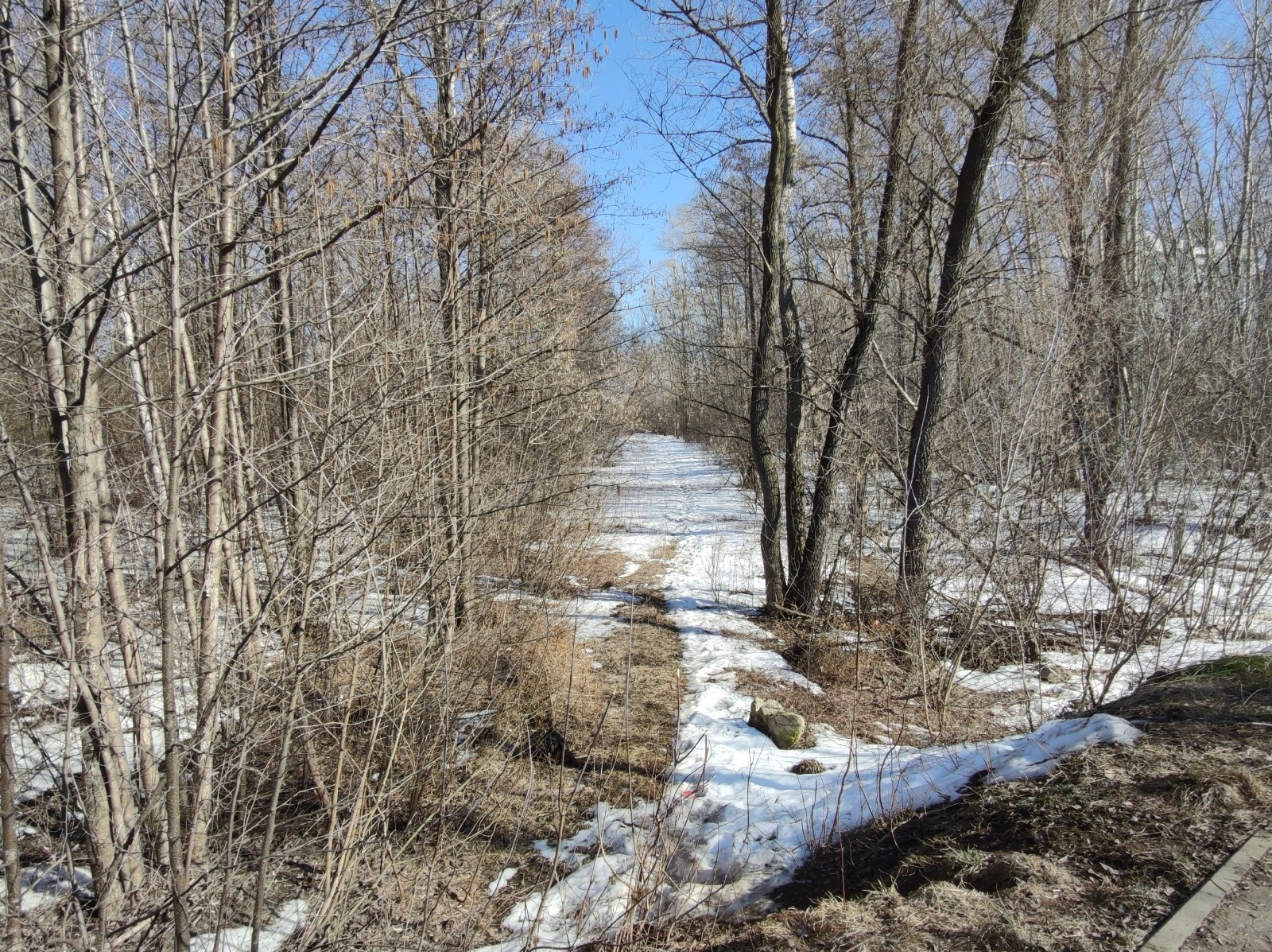 Дарьи Святохиной. «Общественная электронная газета».