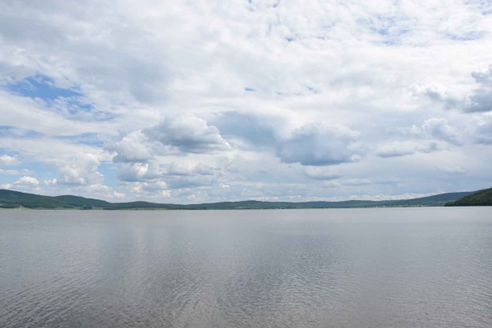 Фото Елены Колоколовой.