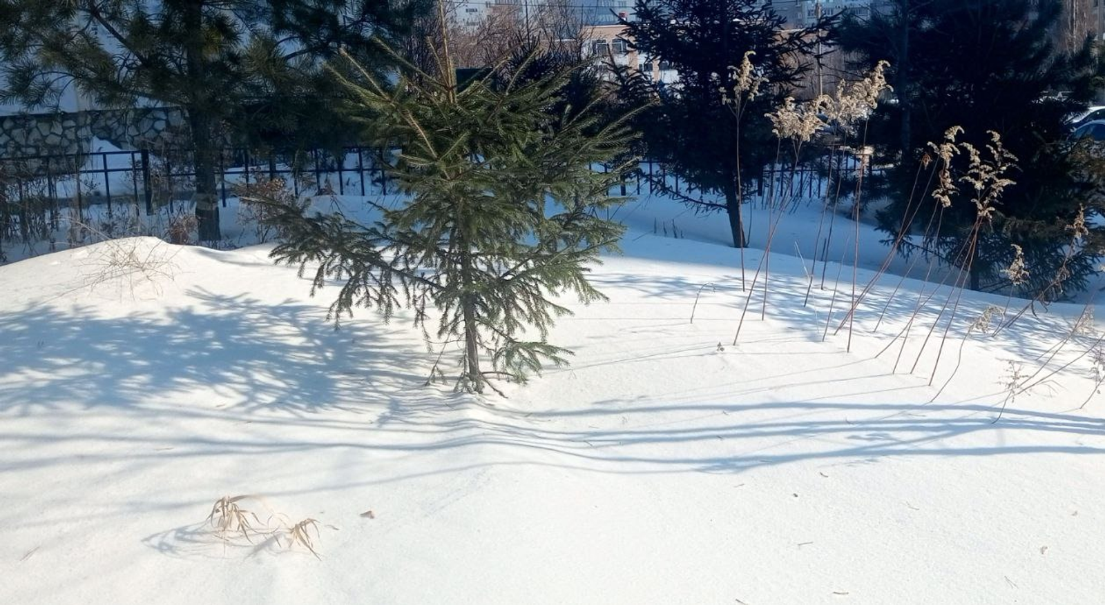 Евгении Сюткиной. «Общественная электронная газета».