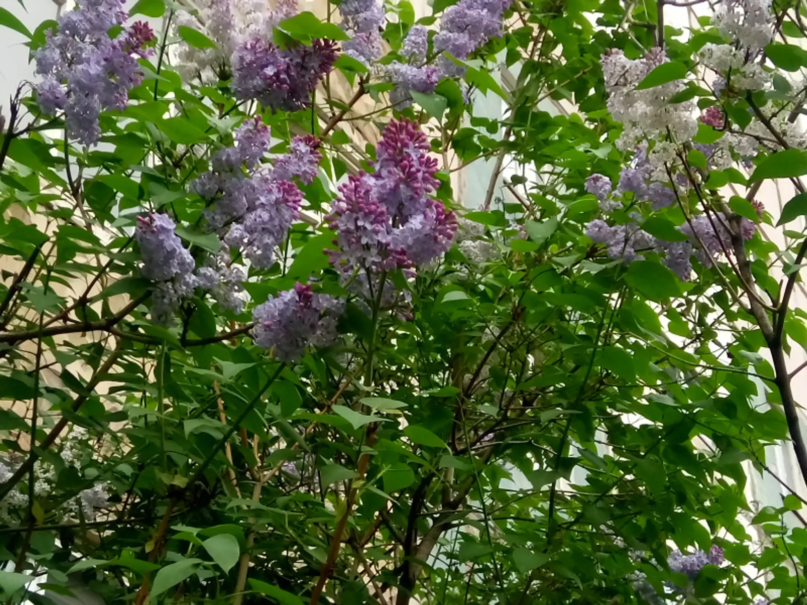 Фото Васили Саитовой.