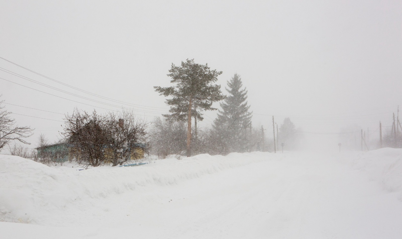 Евгении Сюткиной. «Общественная электронная газета».
