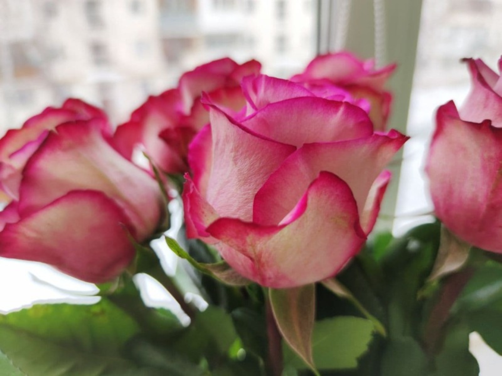 Дарьи Святохиной.