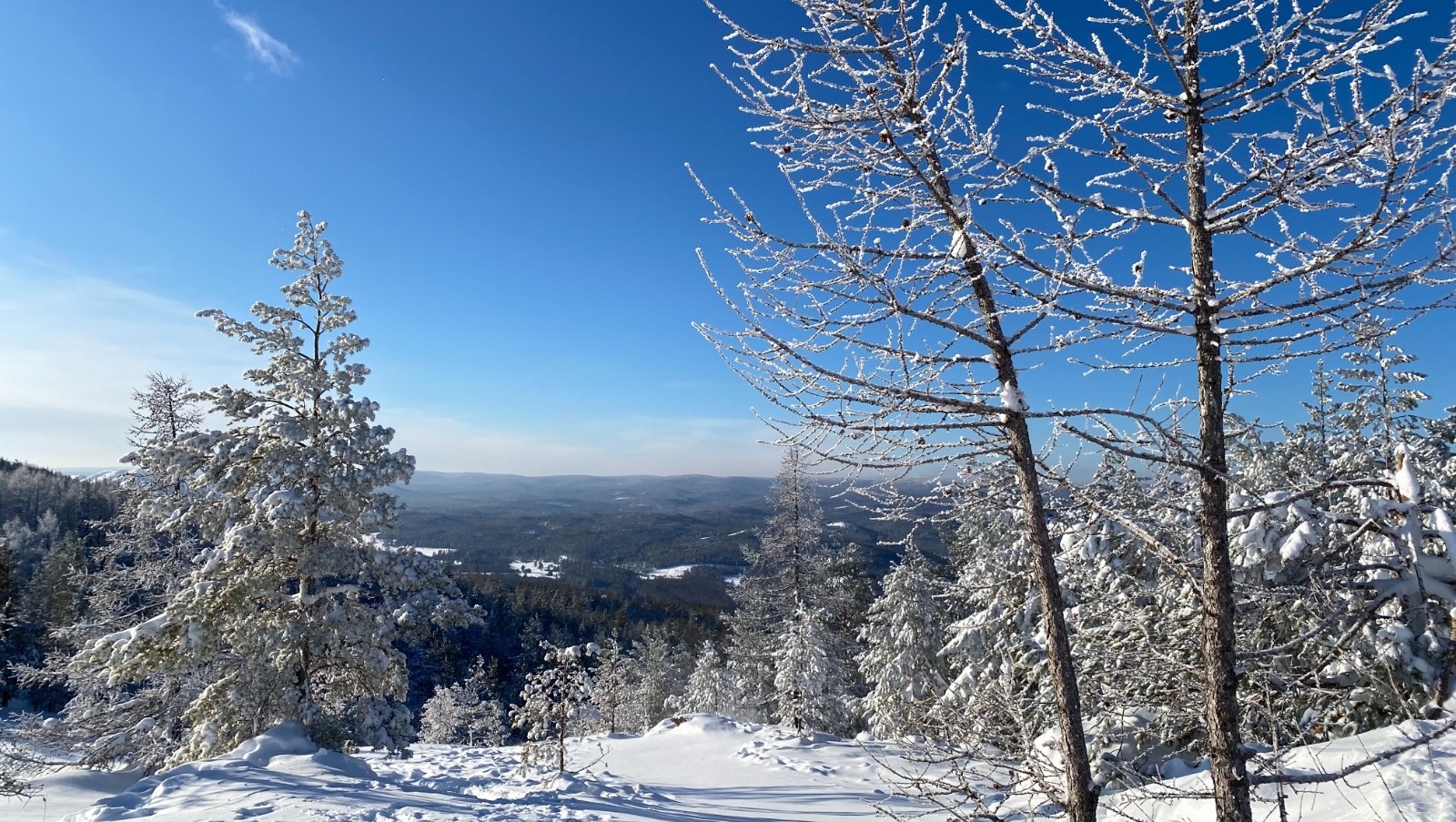 Елены Колоколовой.  «Общественная электронная газета».