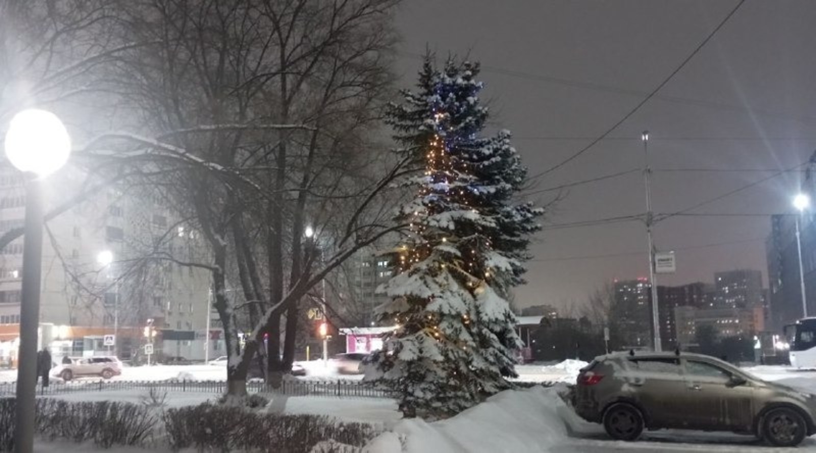 Евгении Сюткиной. «Общественная электронная газета».