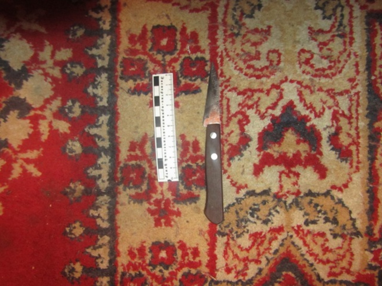 Фото предоставлено пресс-службой МВД по РБ.