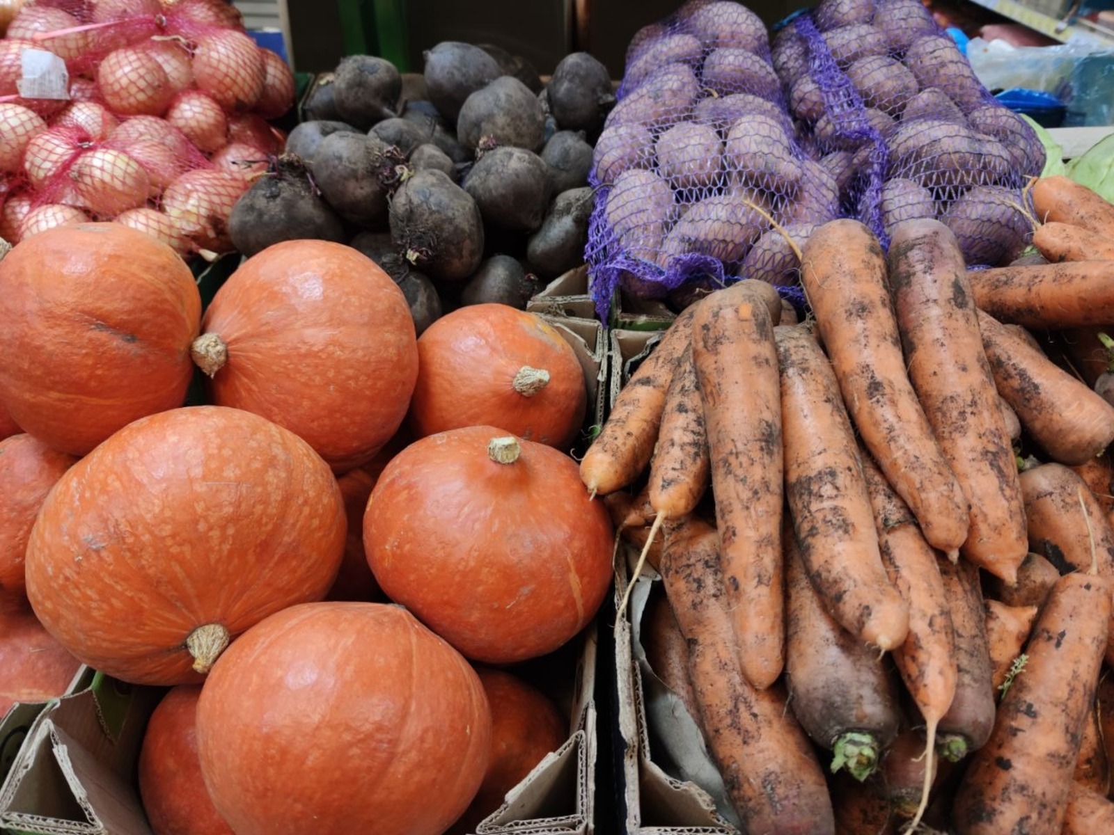 Дарьи Святохиной.