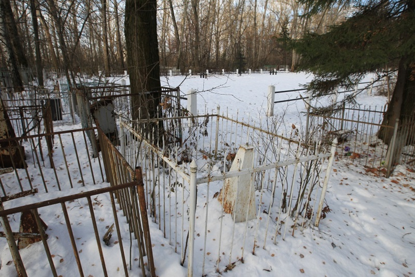 Фото Олега Яровикова.