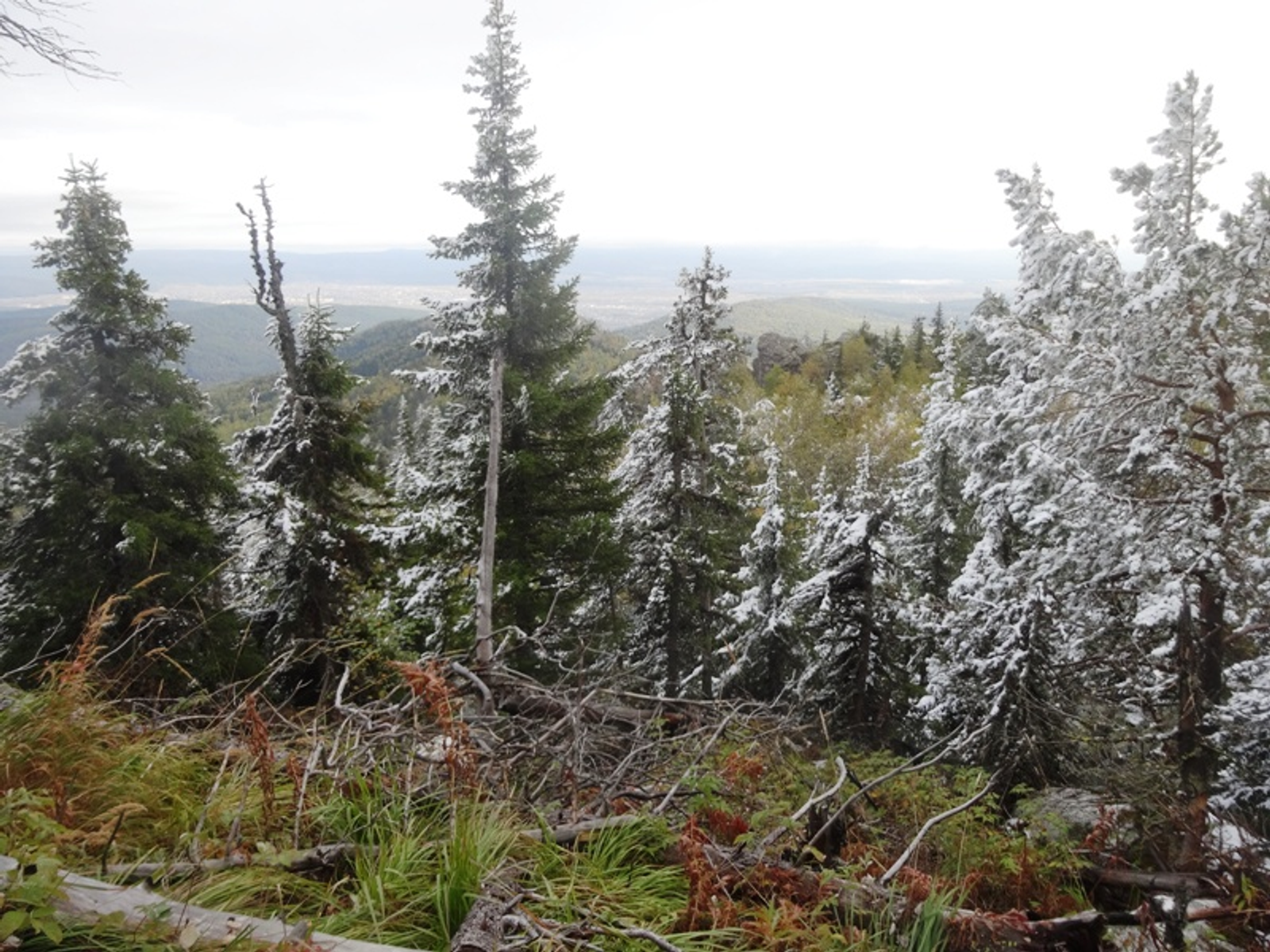 Фото автора.